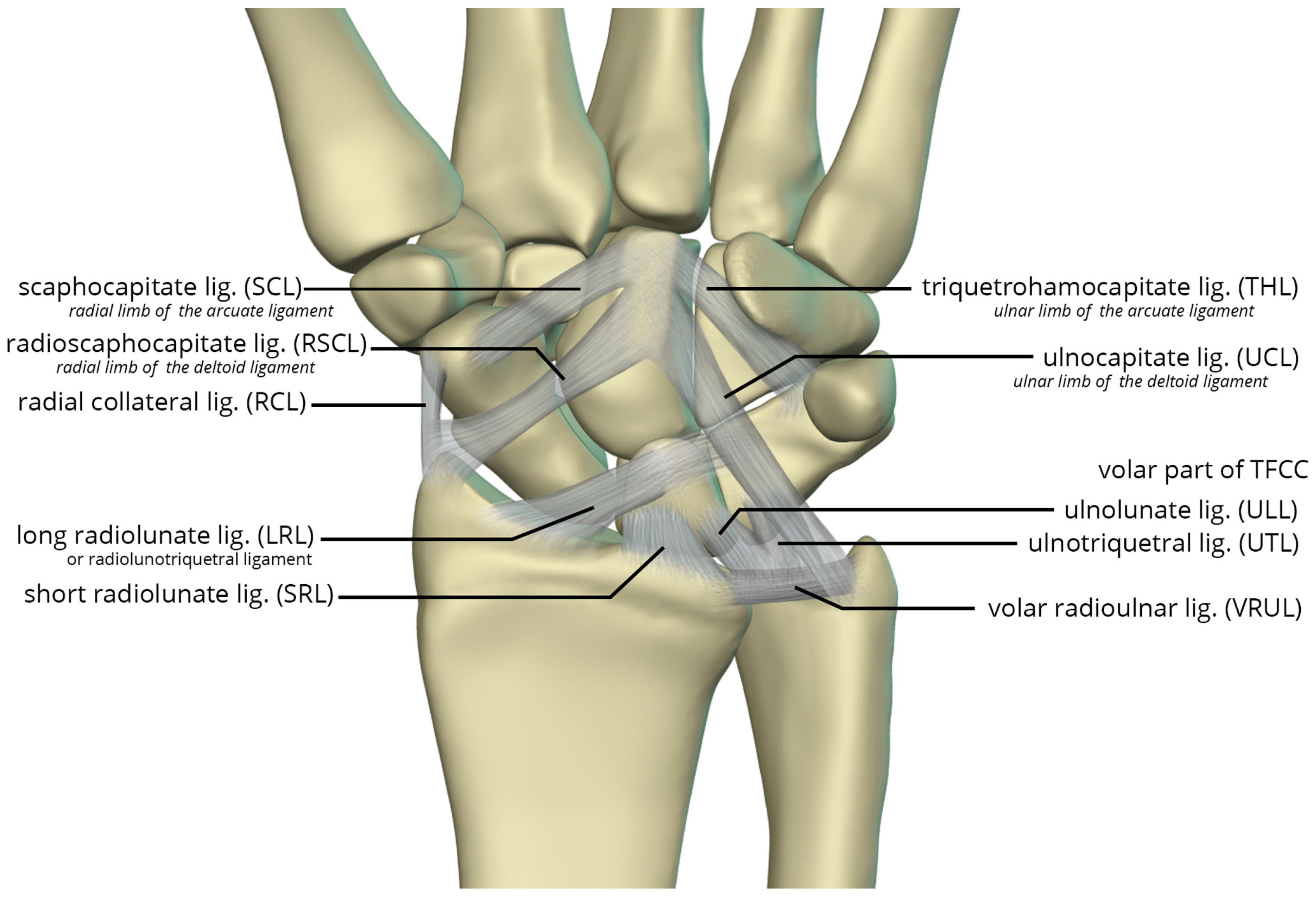 Preprints 72000 g026