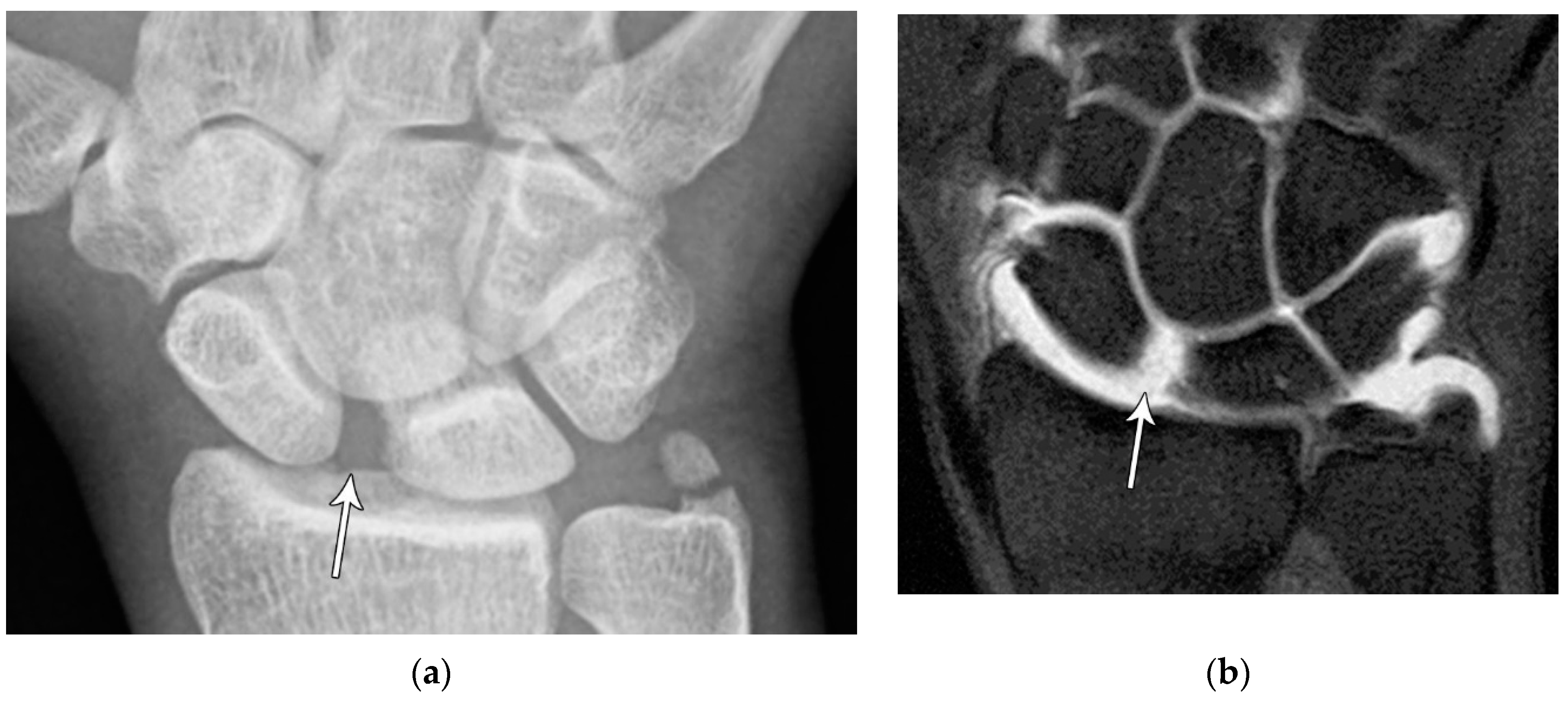 Preprints 72000 g027