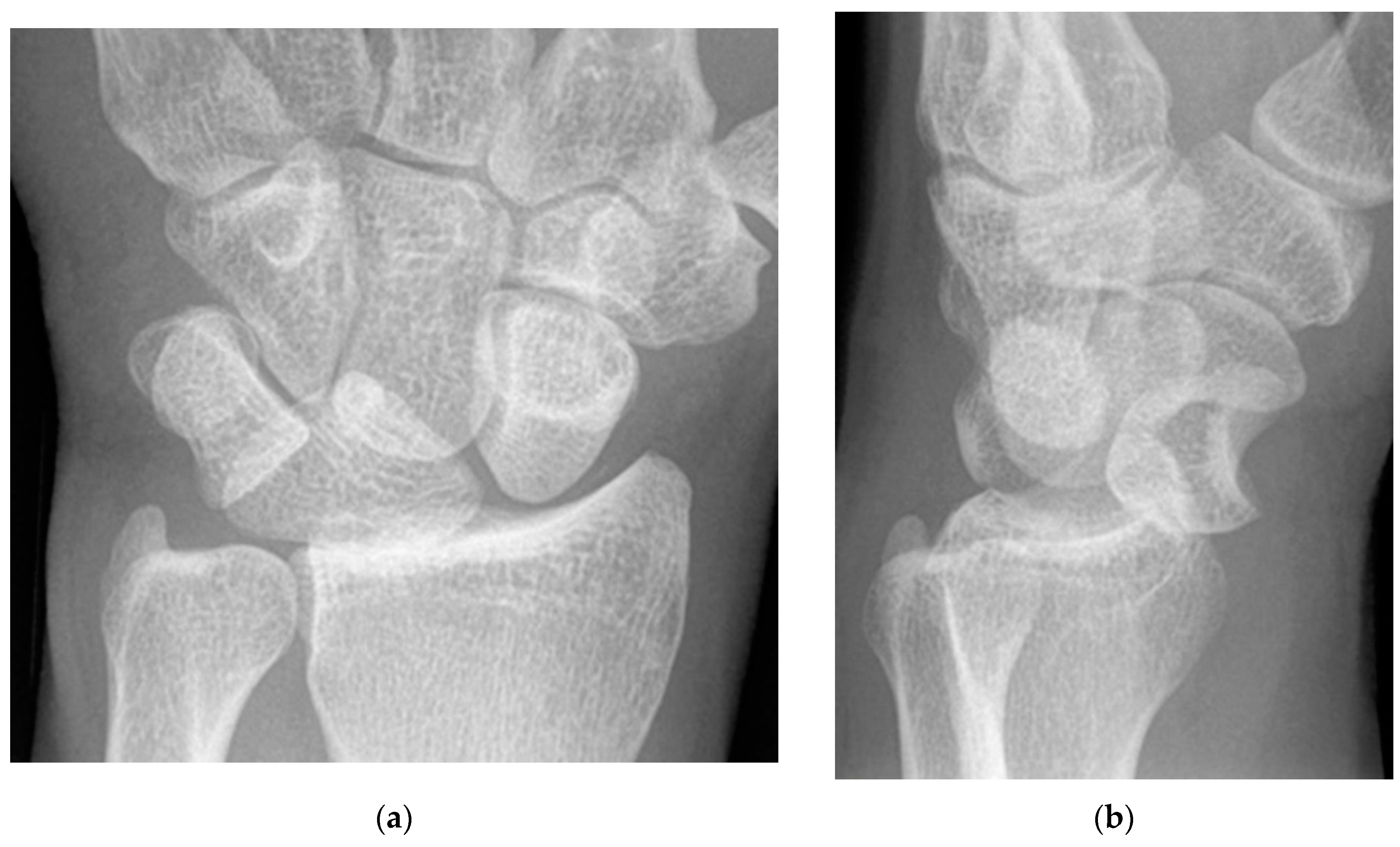 Preprints 72000 g030