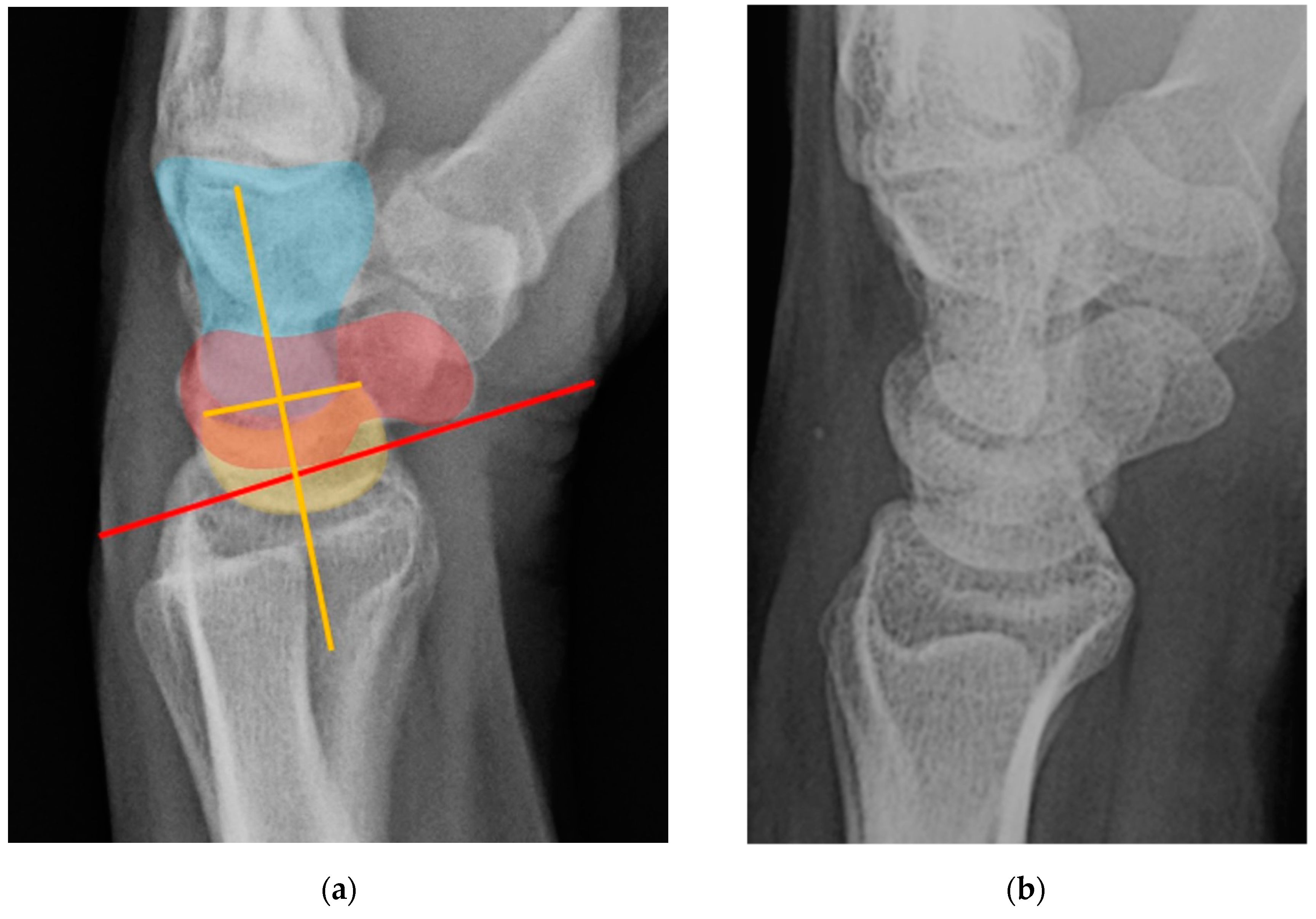 Preprints 72000 g032