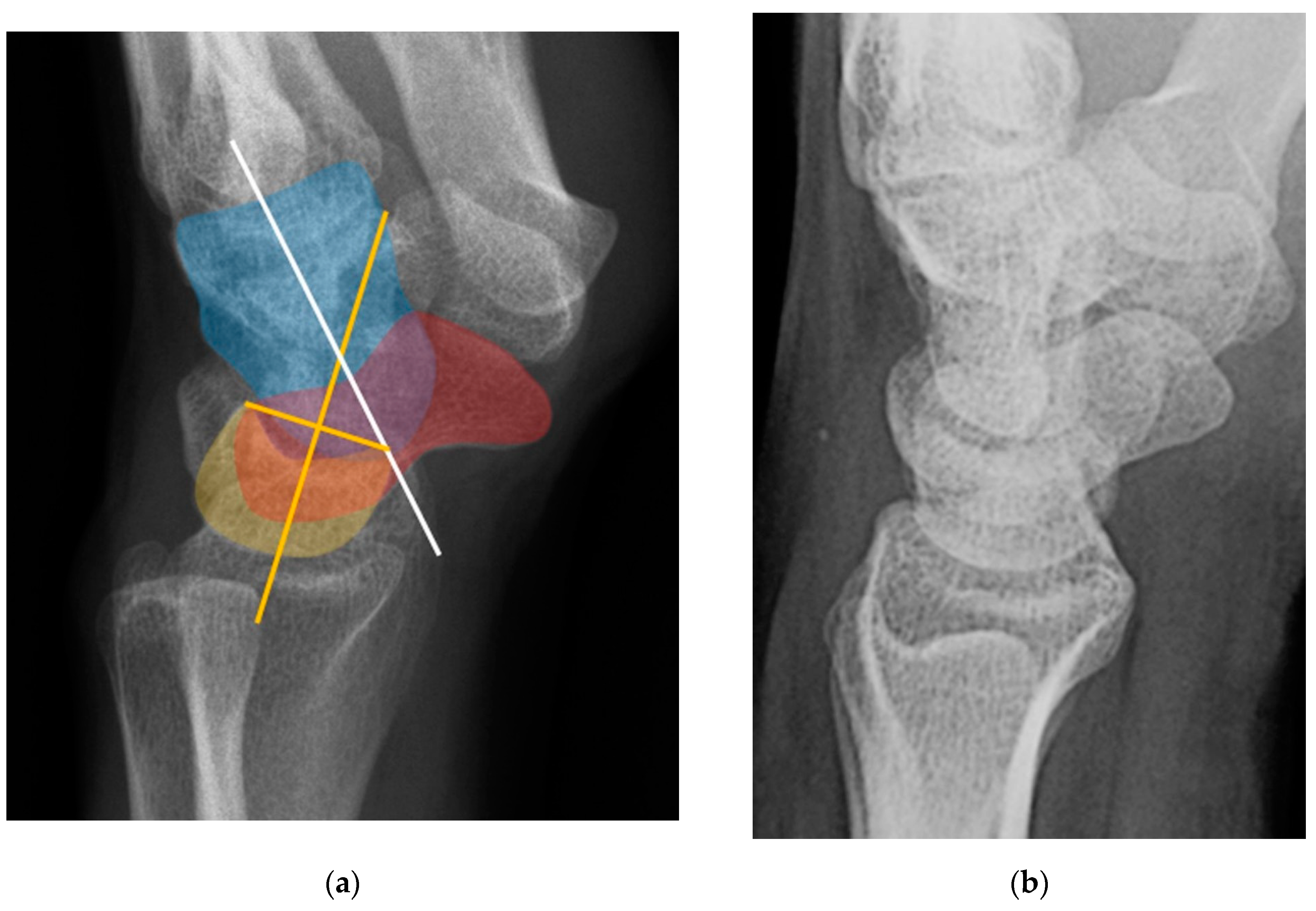 Preprints 72000 g033
