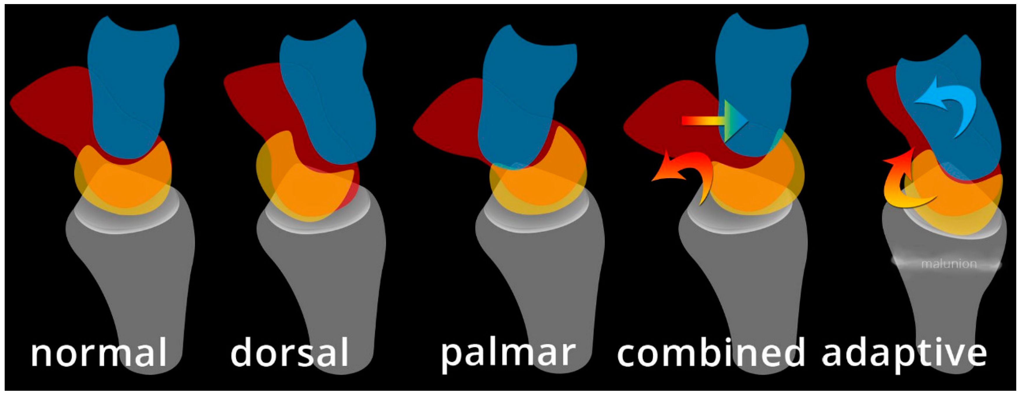Preprints 72000 g034