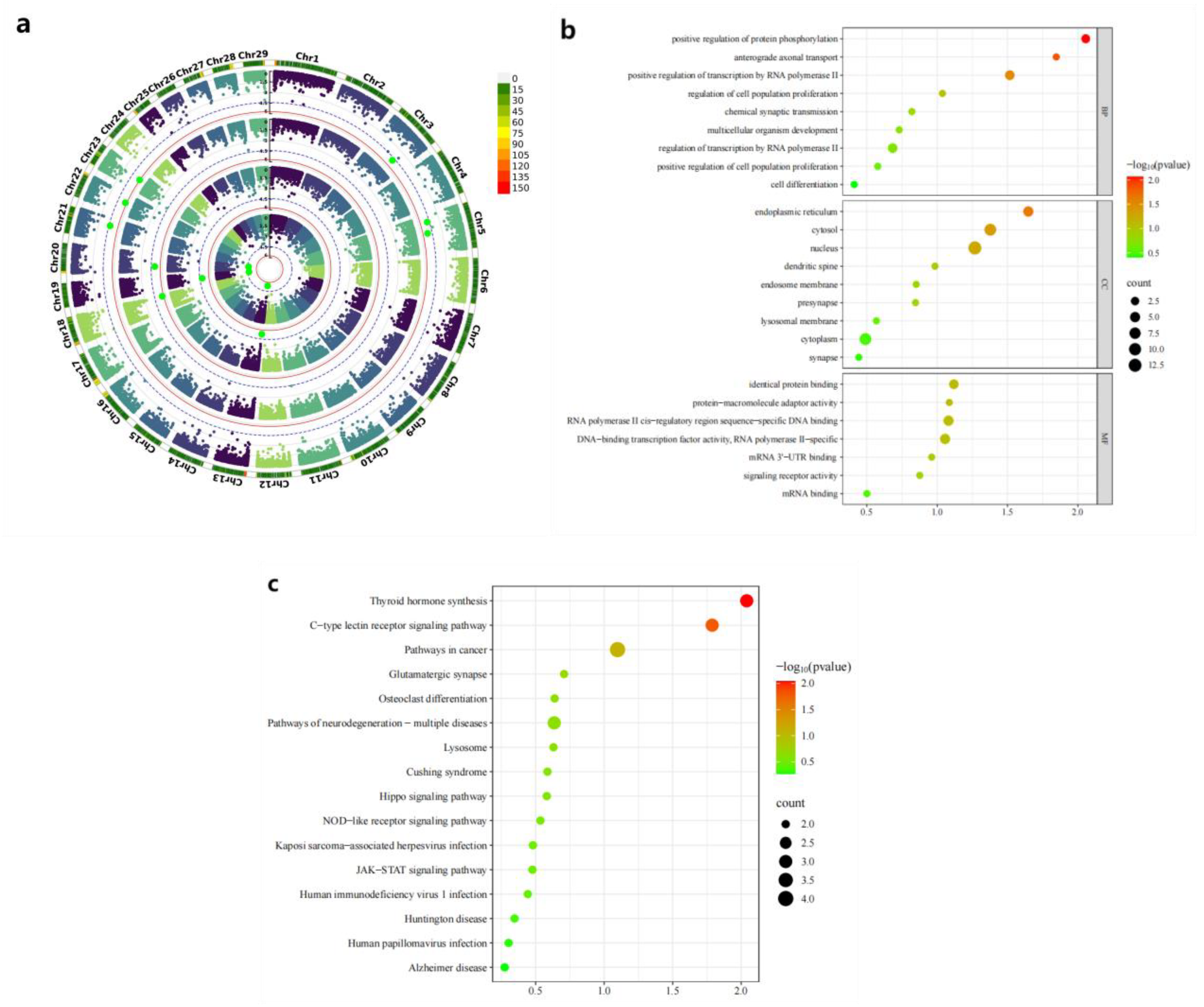 Preprints 161630 g009