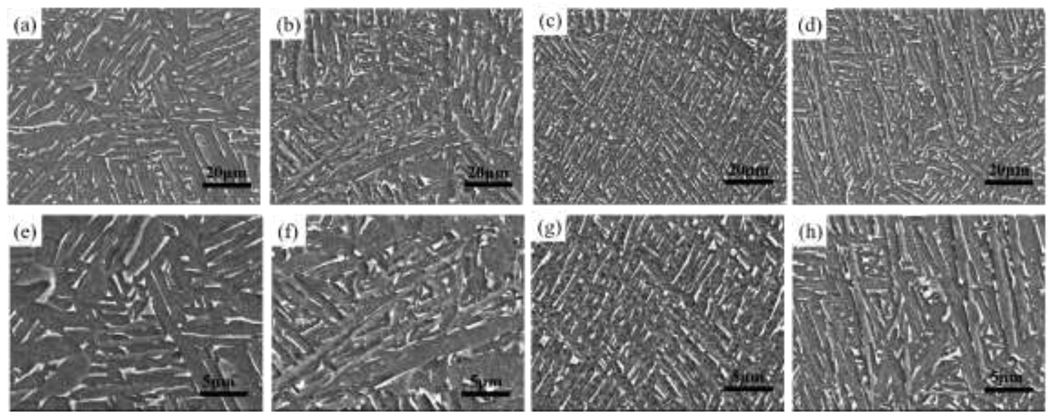 Preprints 196777 g003
