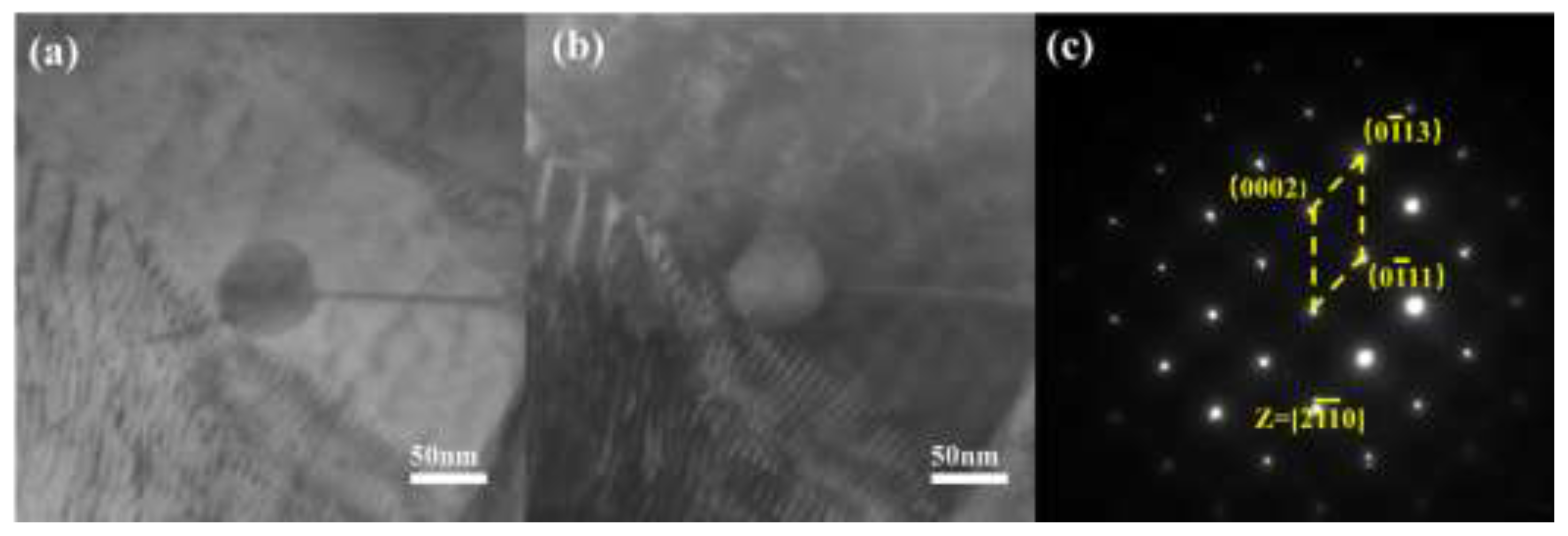 Preprints 196777 g008