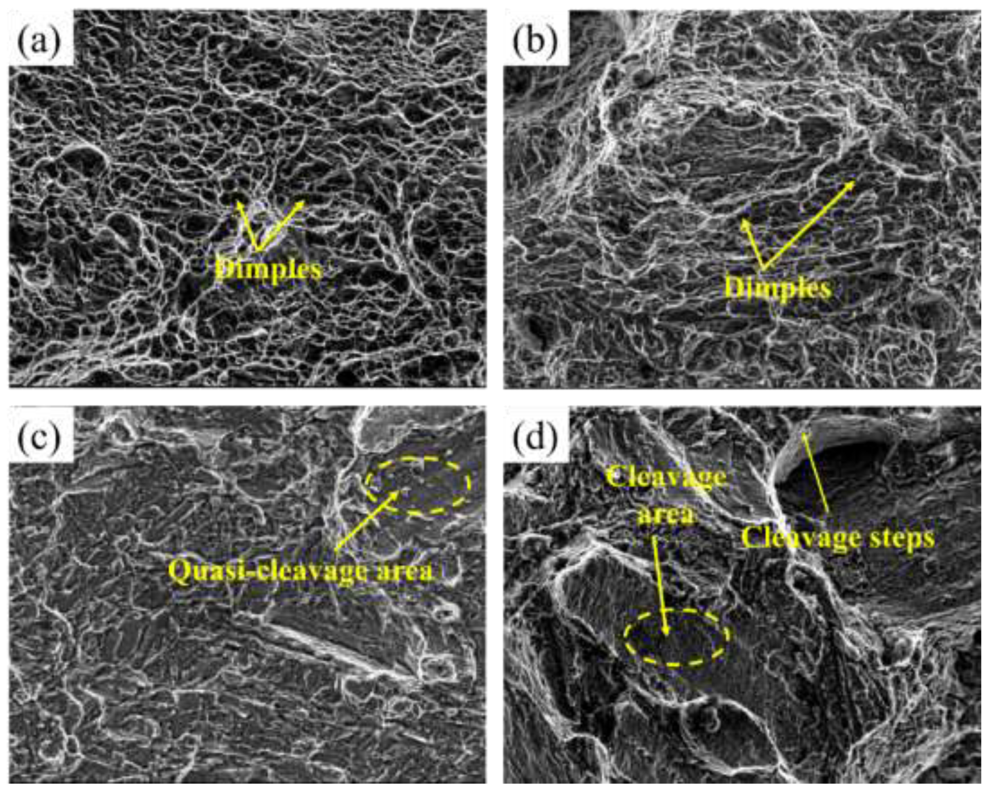 Preprints 196777 g012