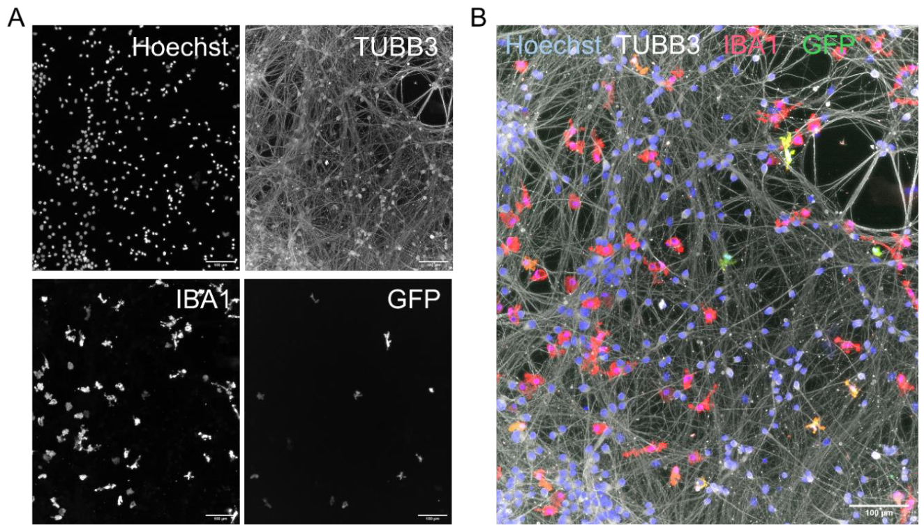 Preprints 228285 g002 Preprints 228285 g002