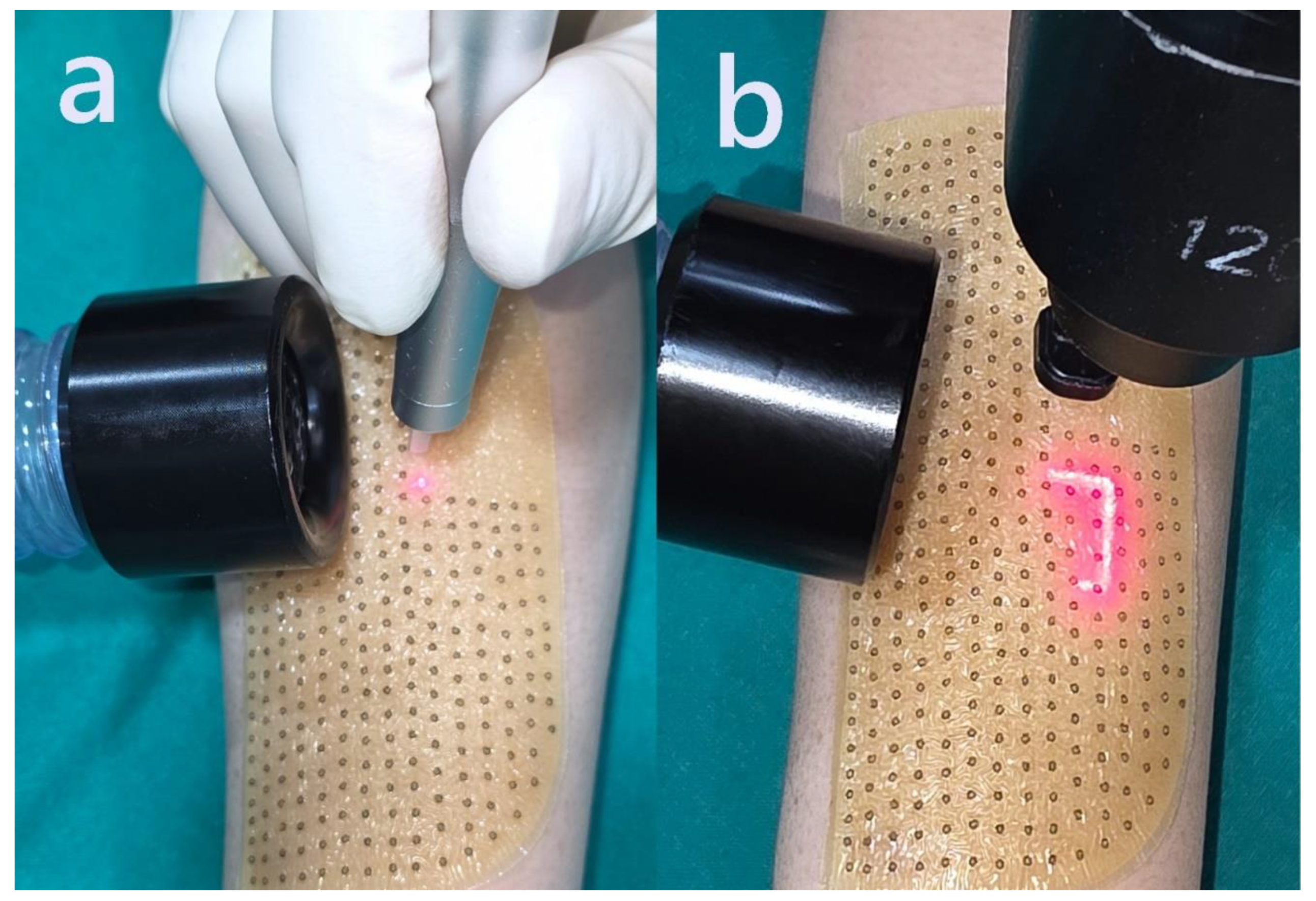Preprints 162039 g001