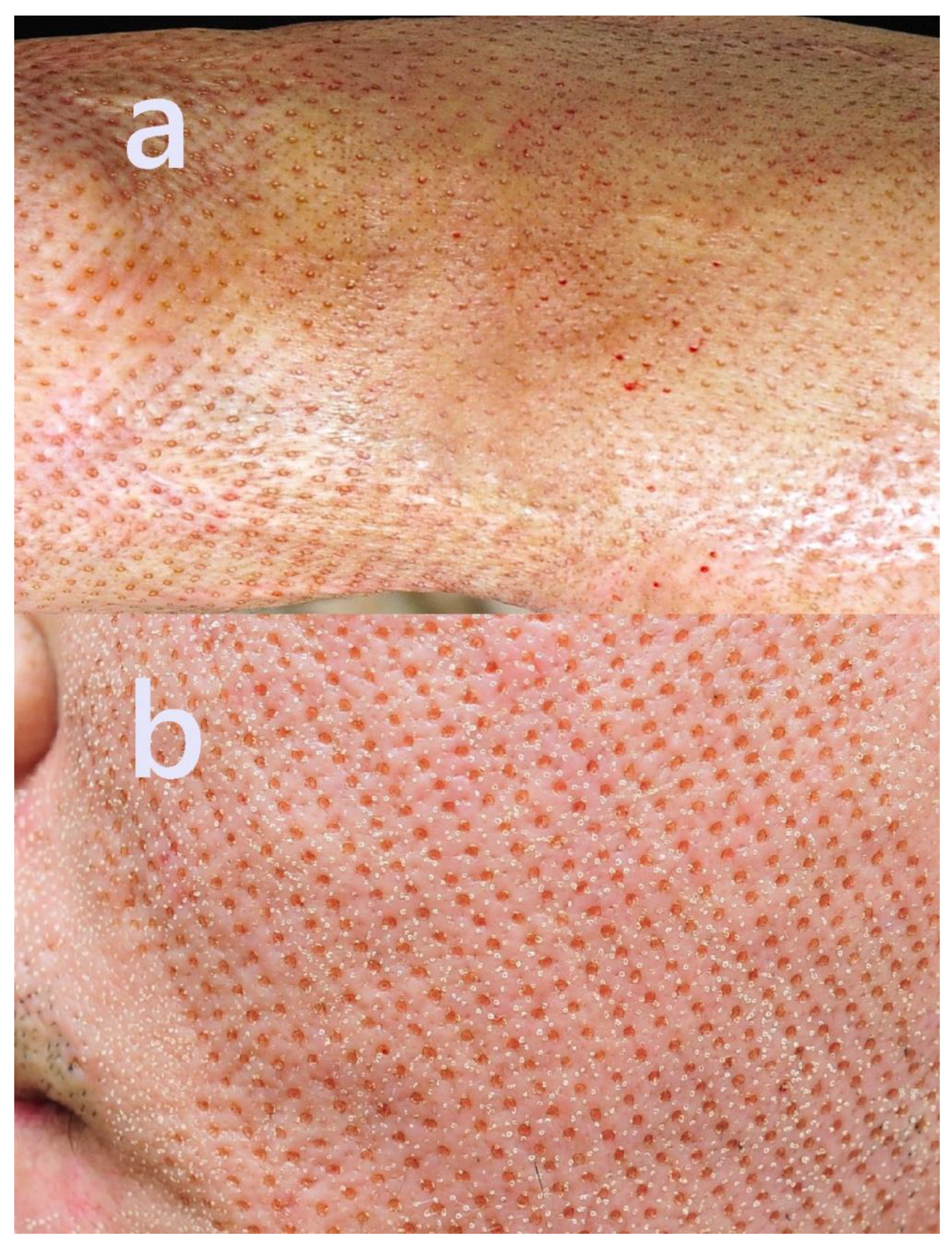 Preprints 162039 g002