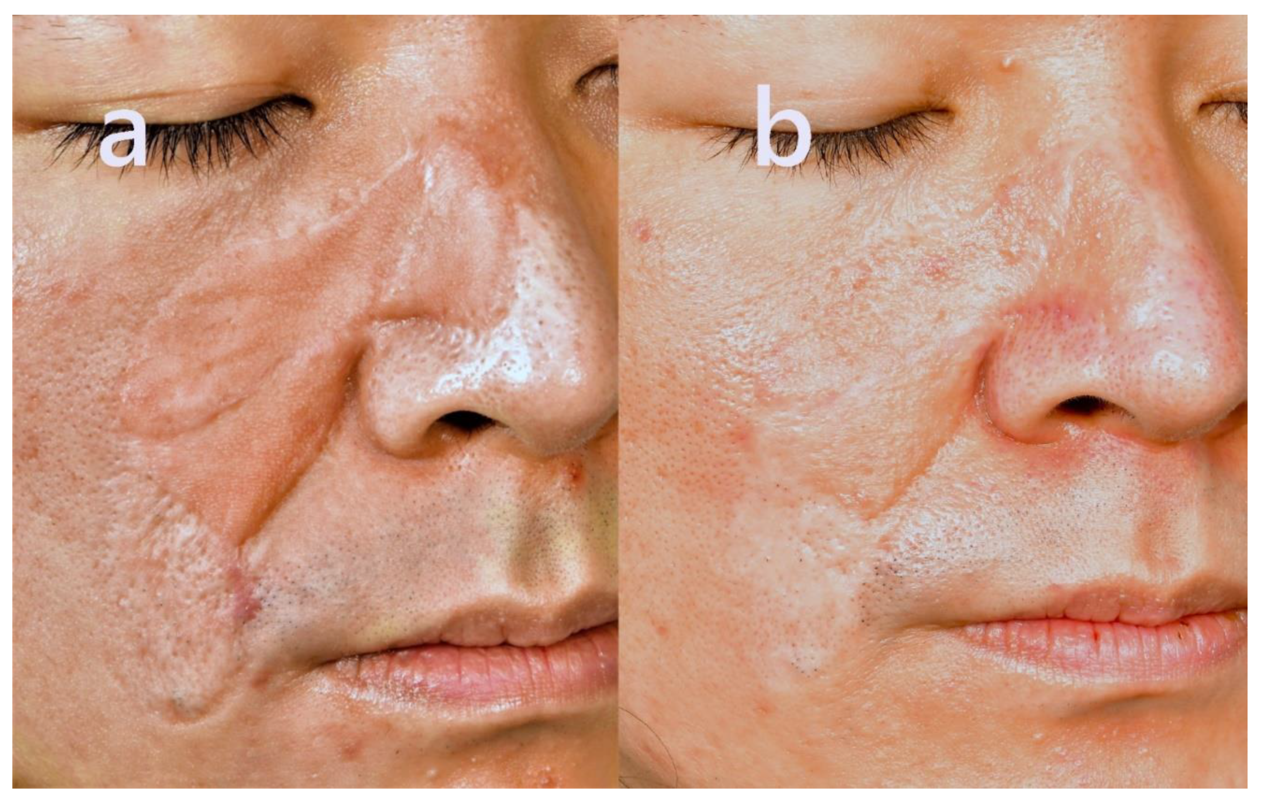 Preprints 162039 g005