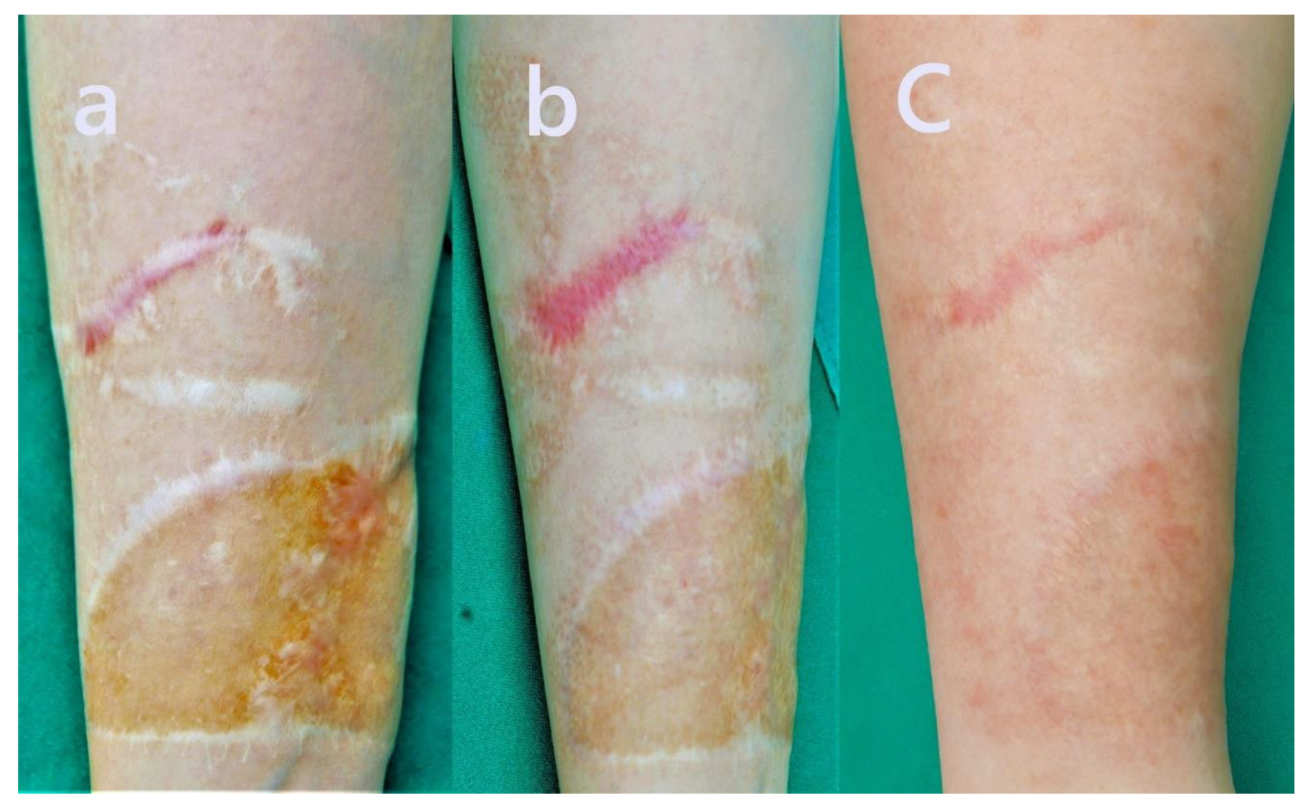 Preprints 162039 g006