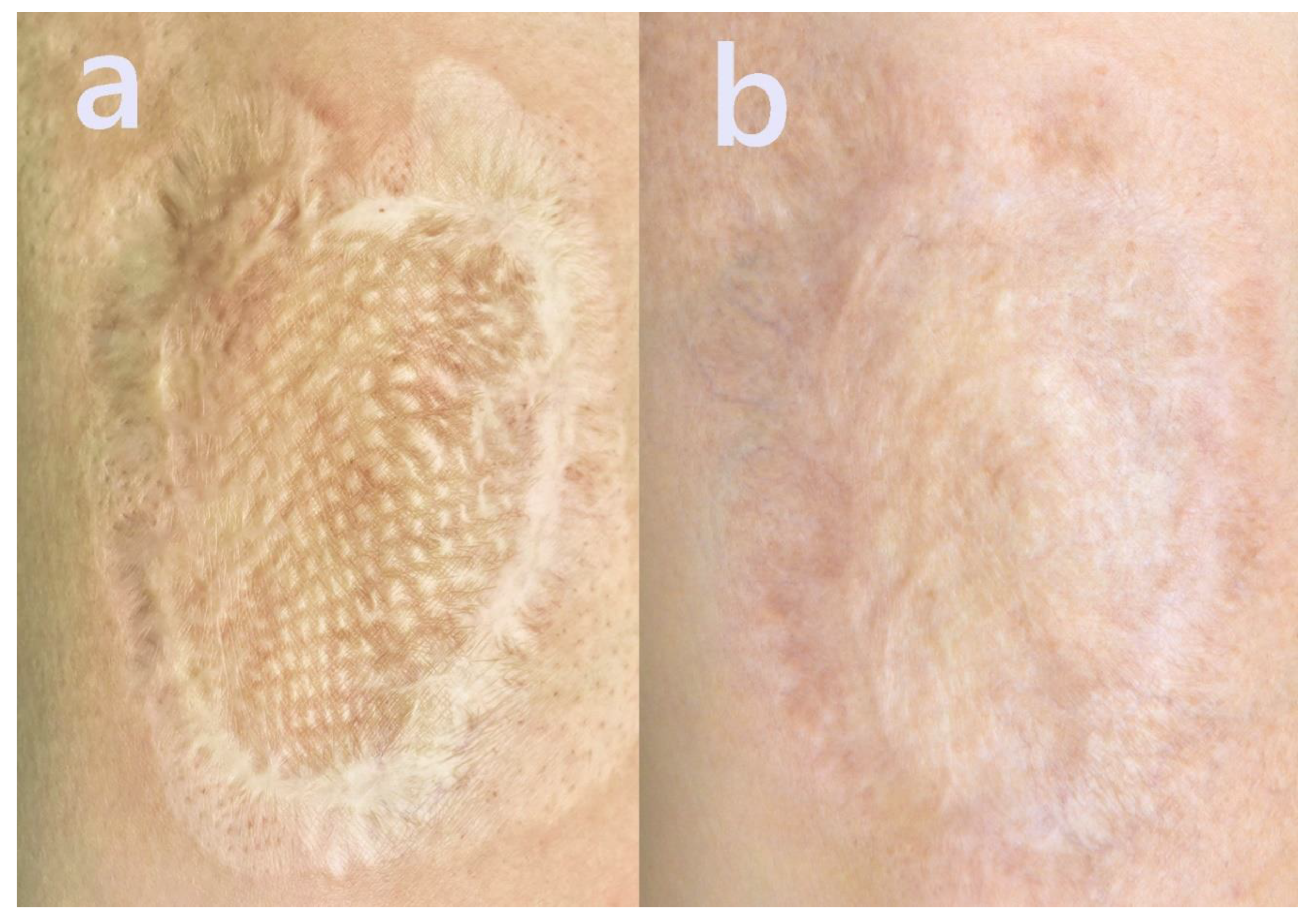 Preprints 162039 g007