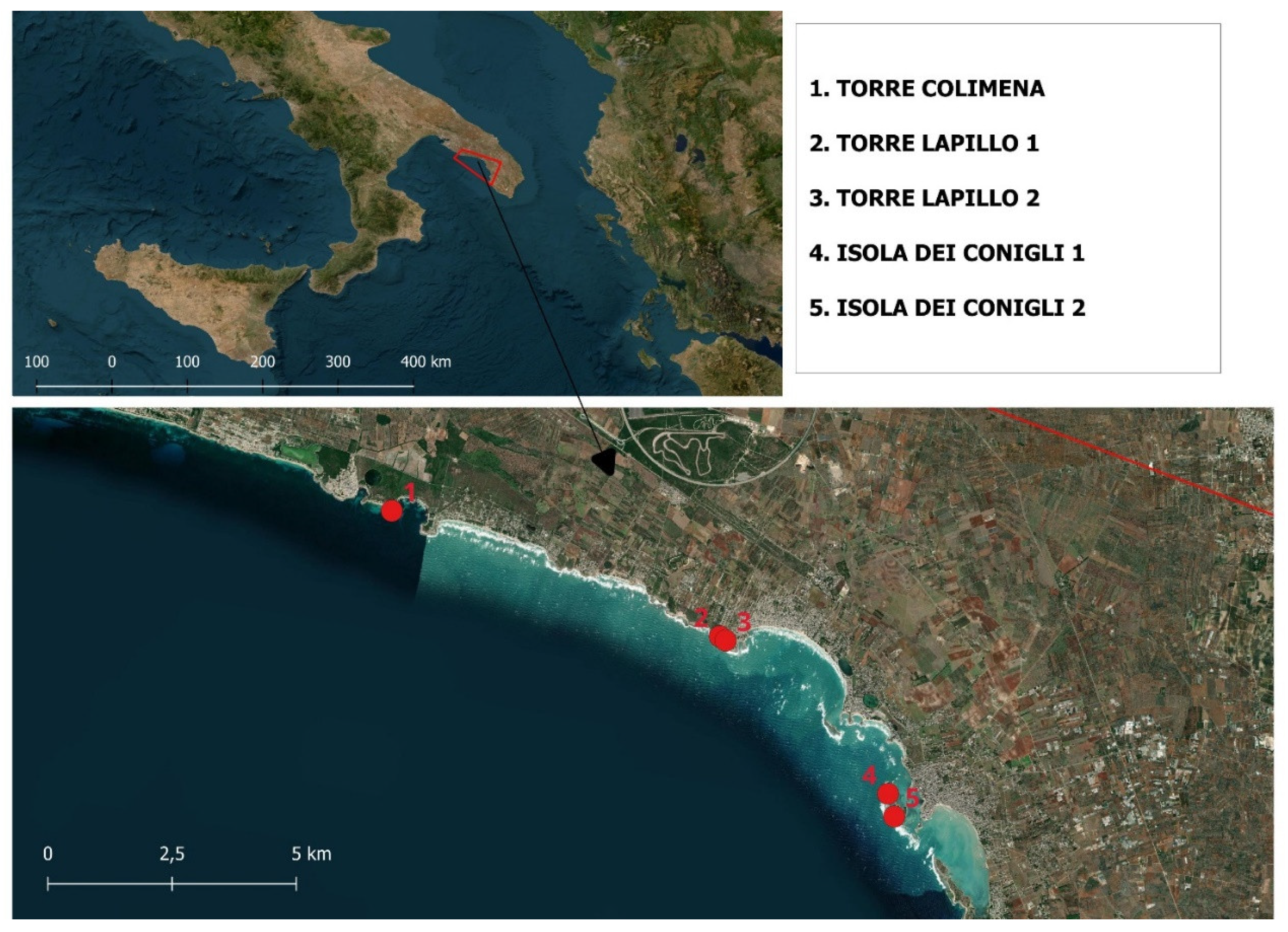 Preprints 141573 g001