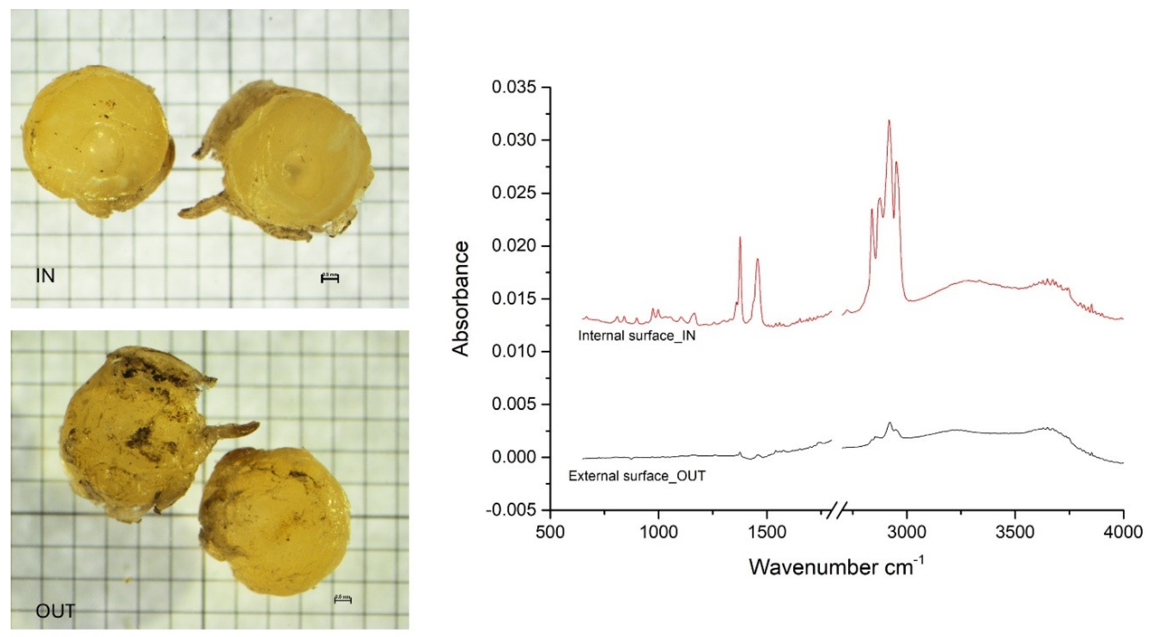 Preprints 141573 g004