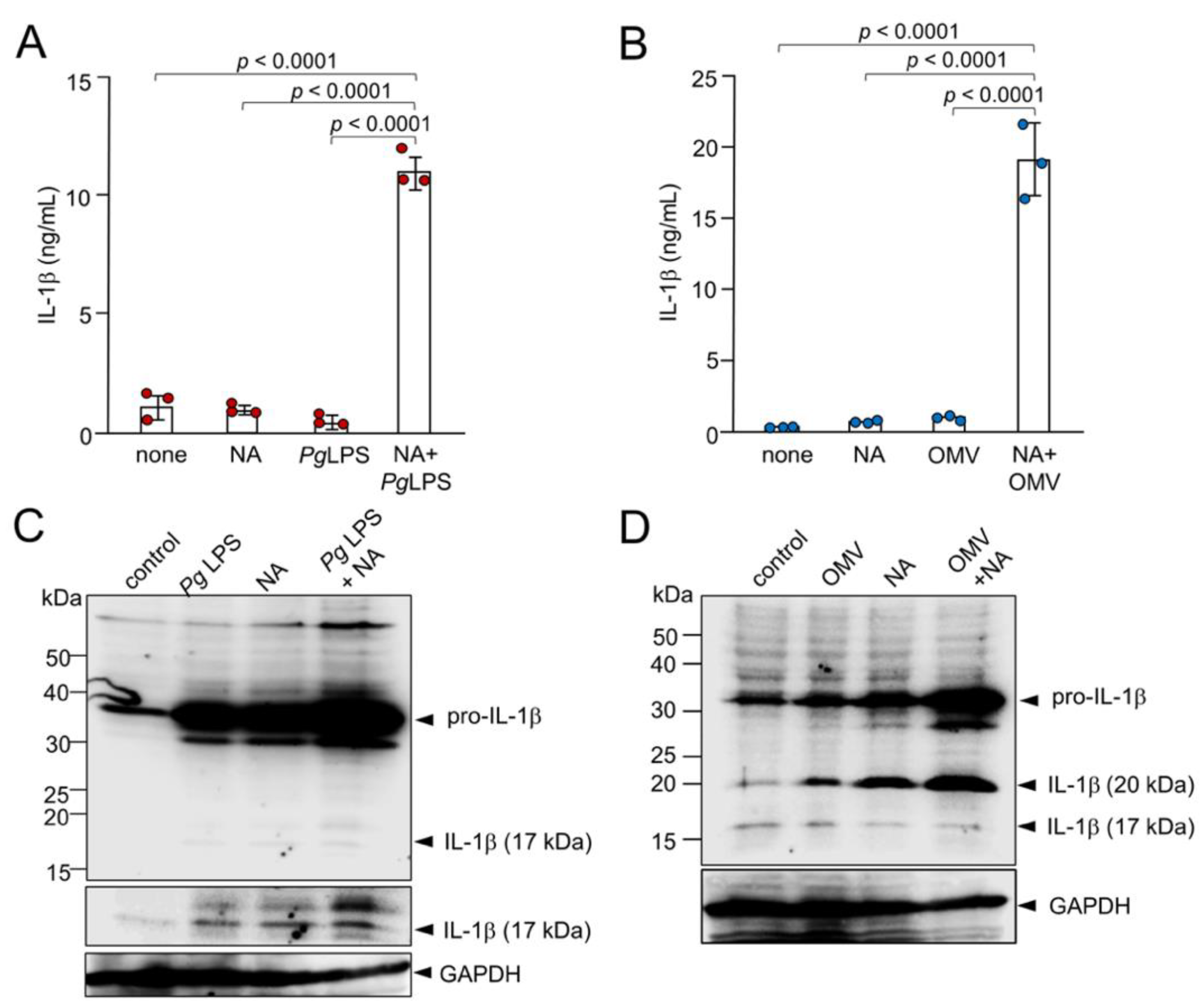 Preprints 145420 g003