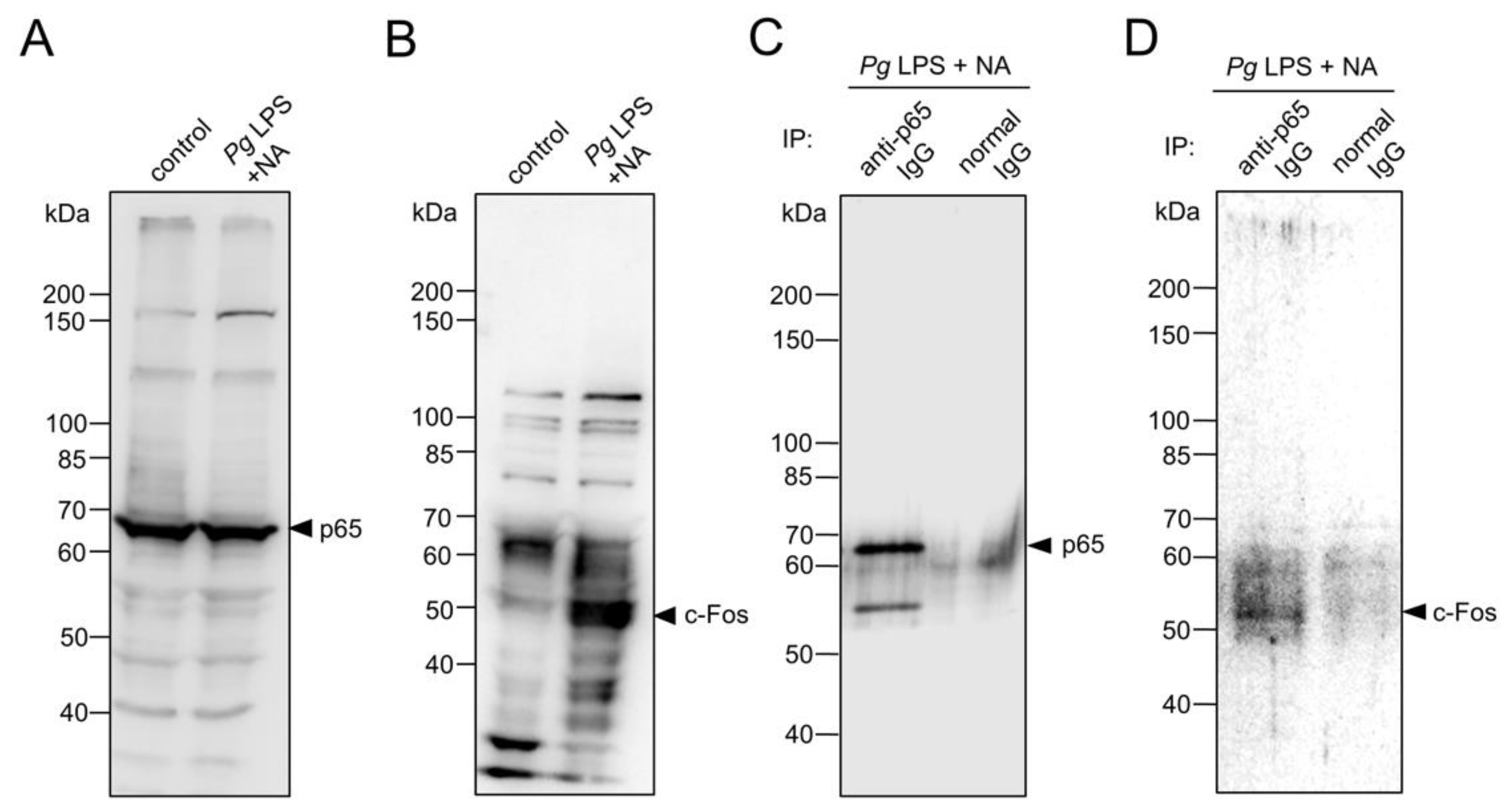 Preprints 145420 g007