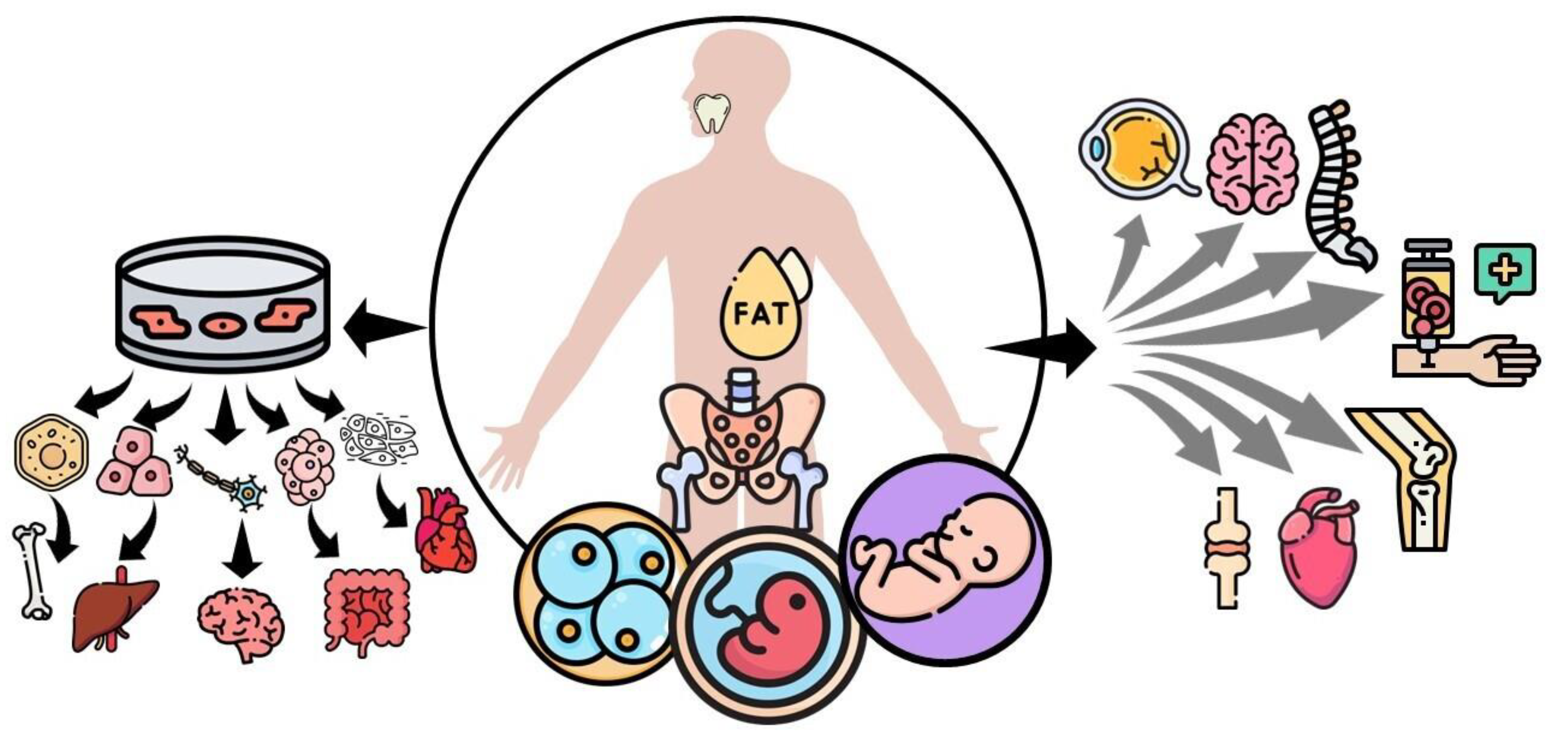 Preprints 71001 g001