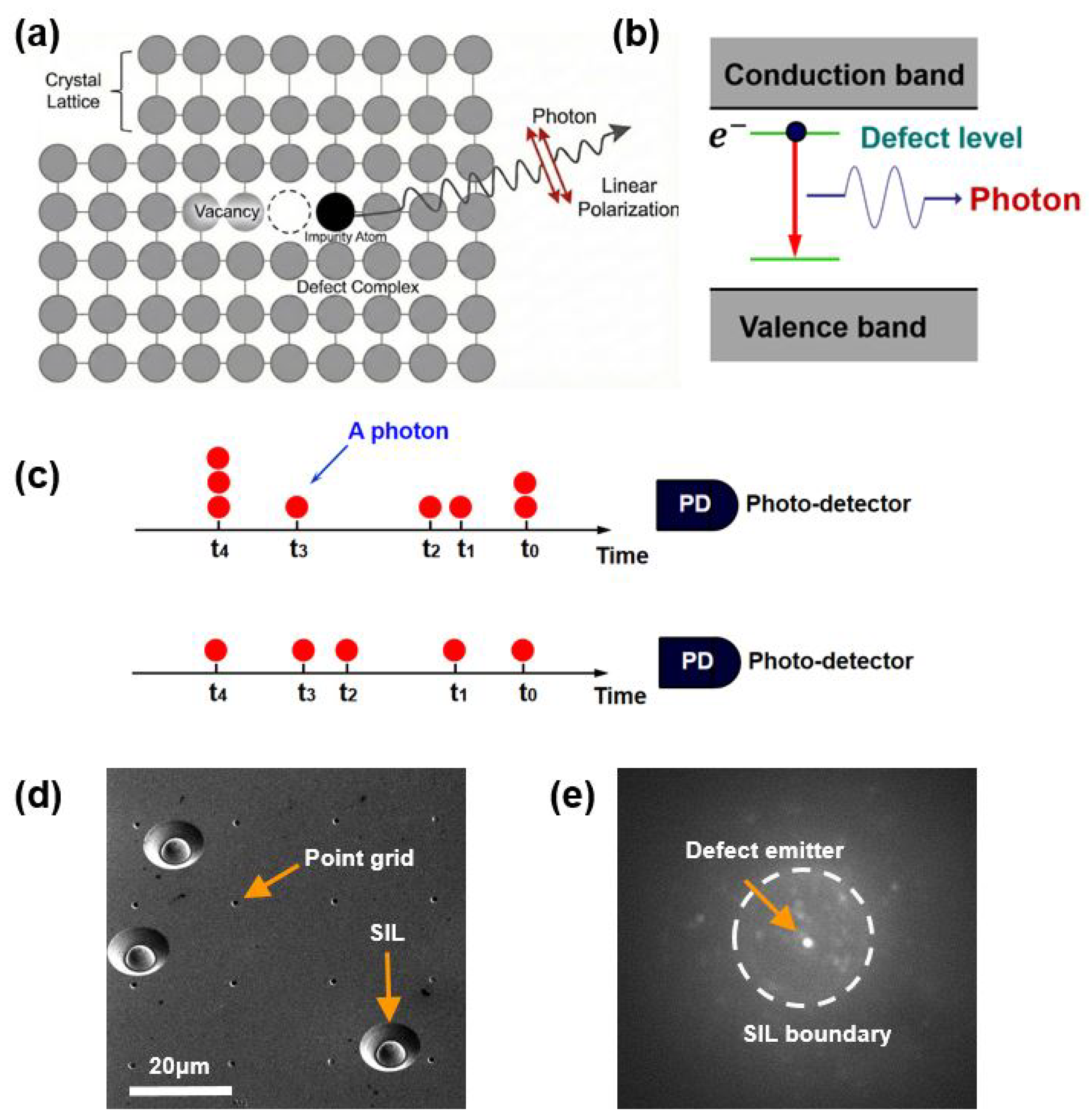 Preprints 196013 g001