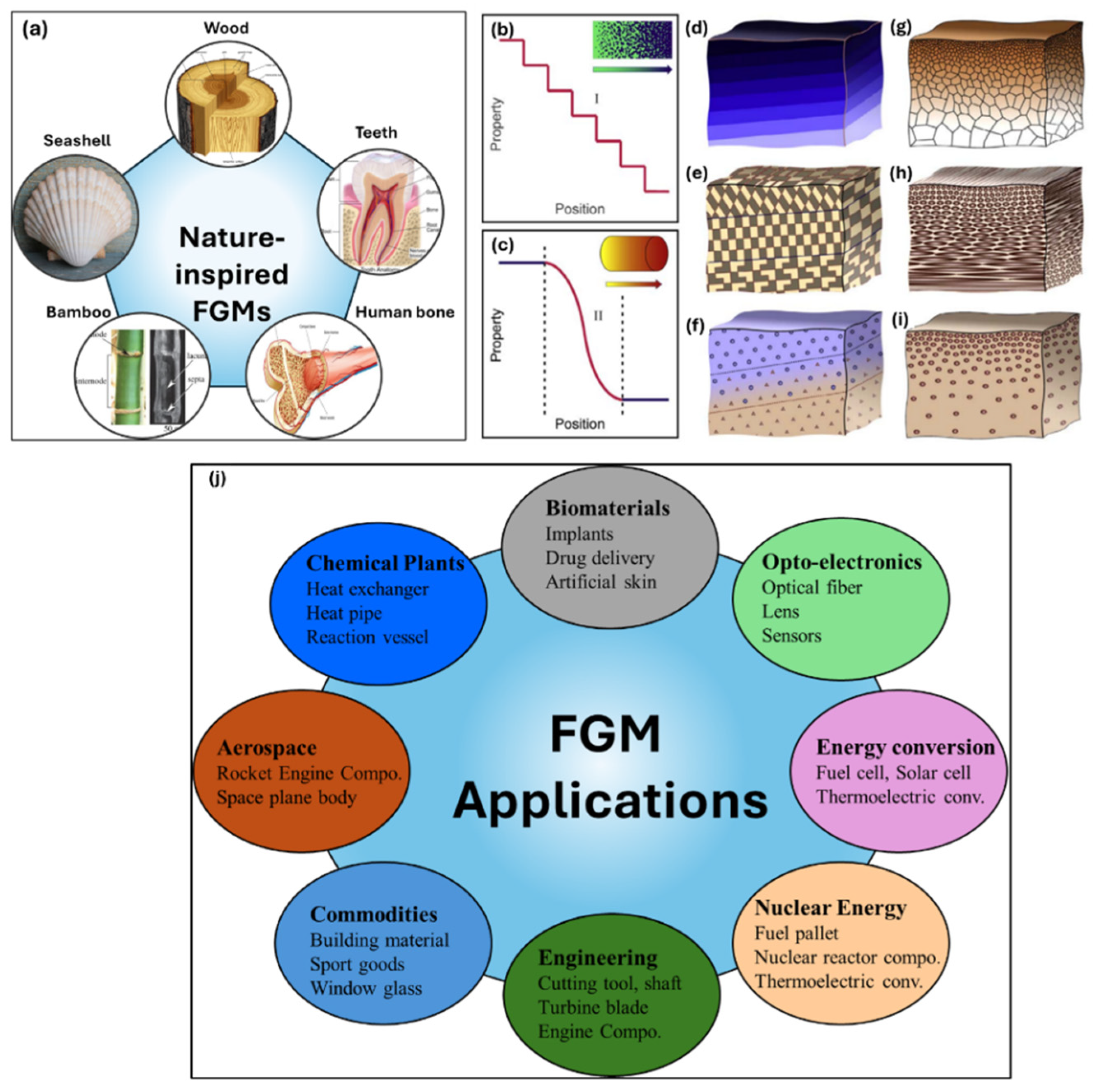 Preprints 166902 g003