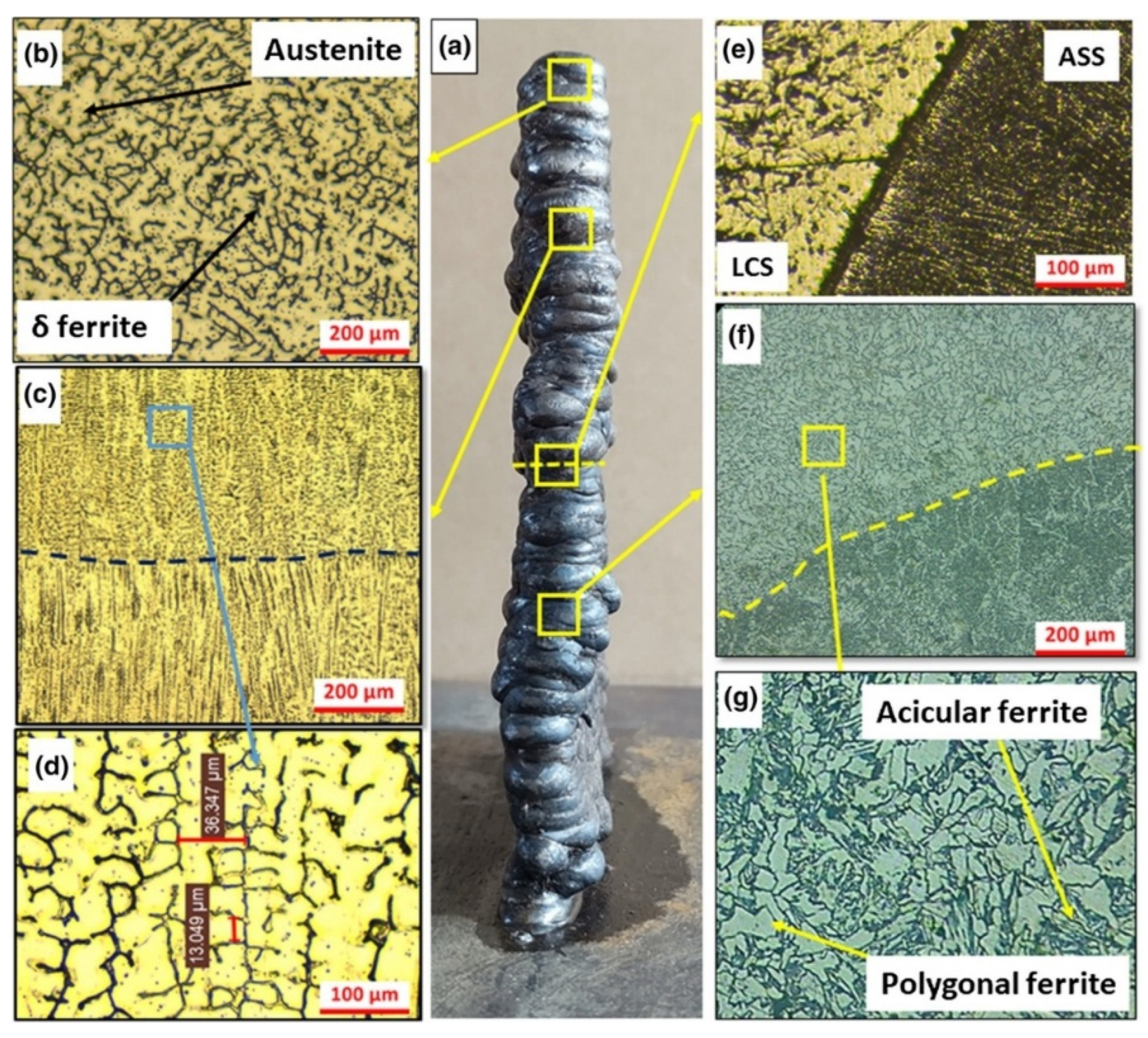 Preprints 166902 g010