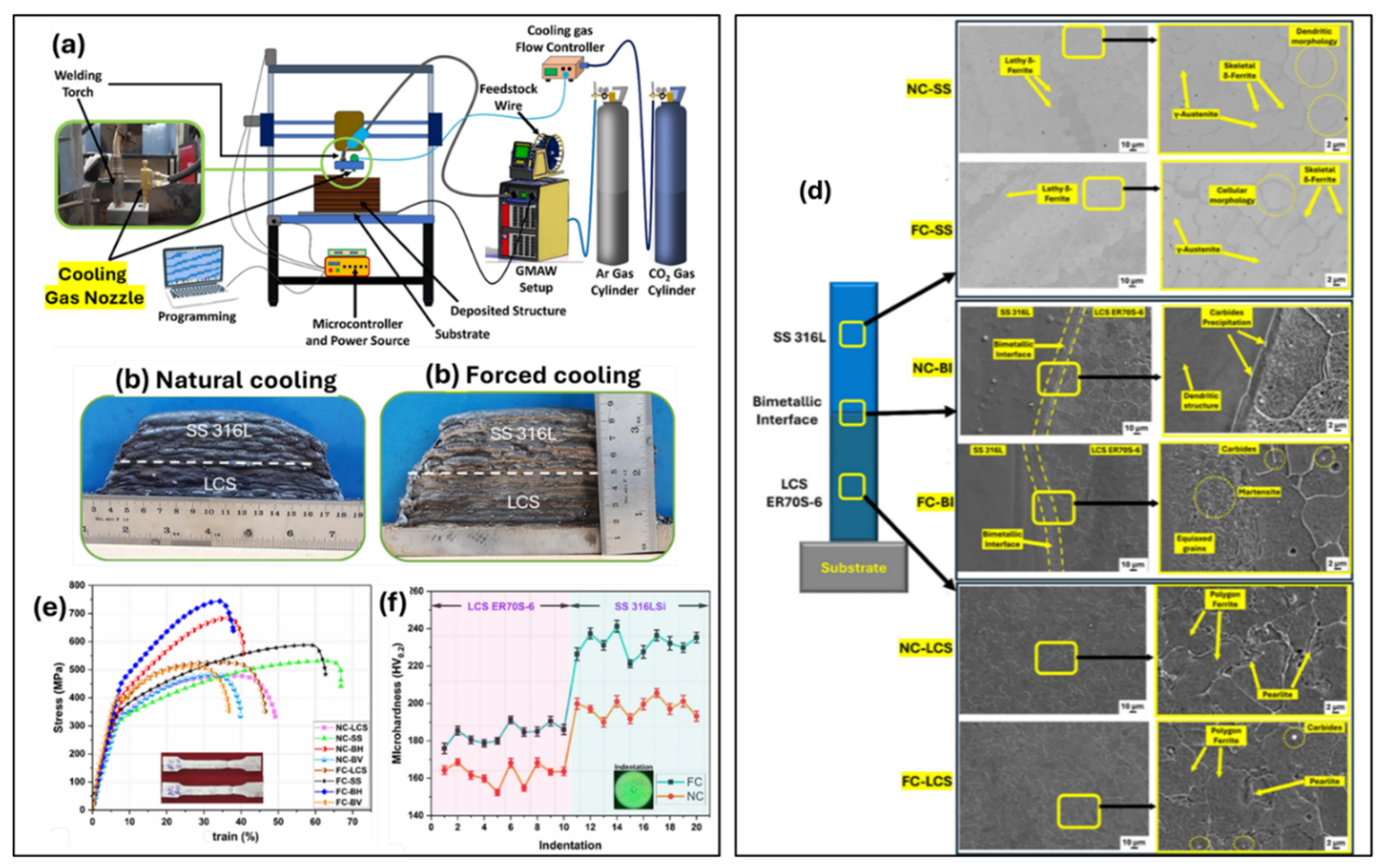 Preprints 166902 g011