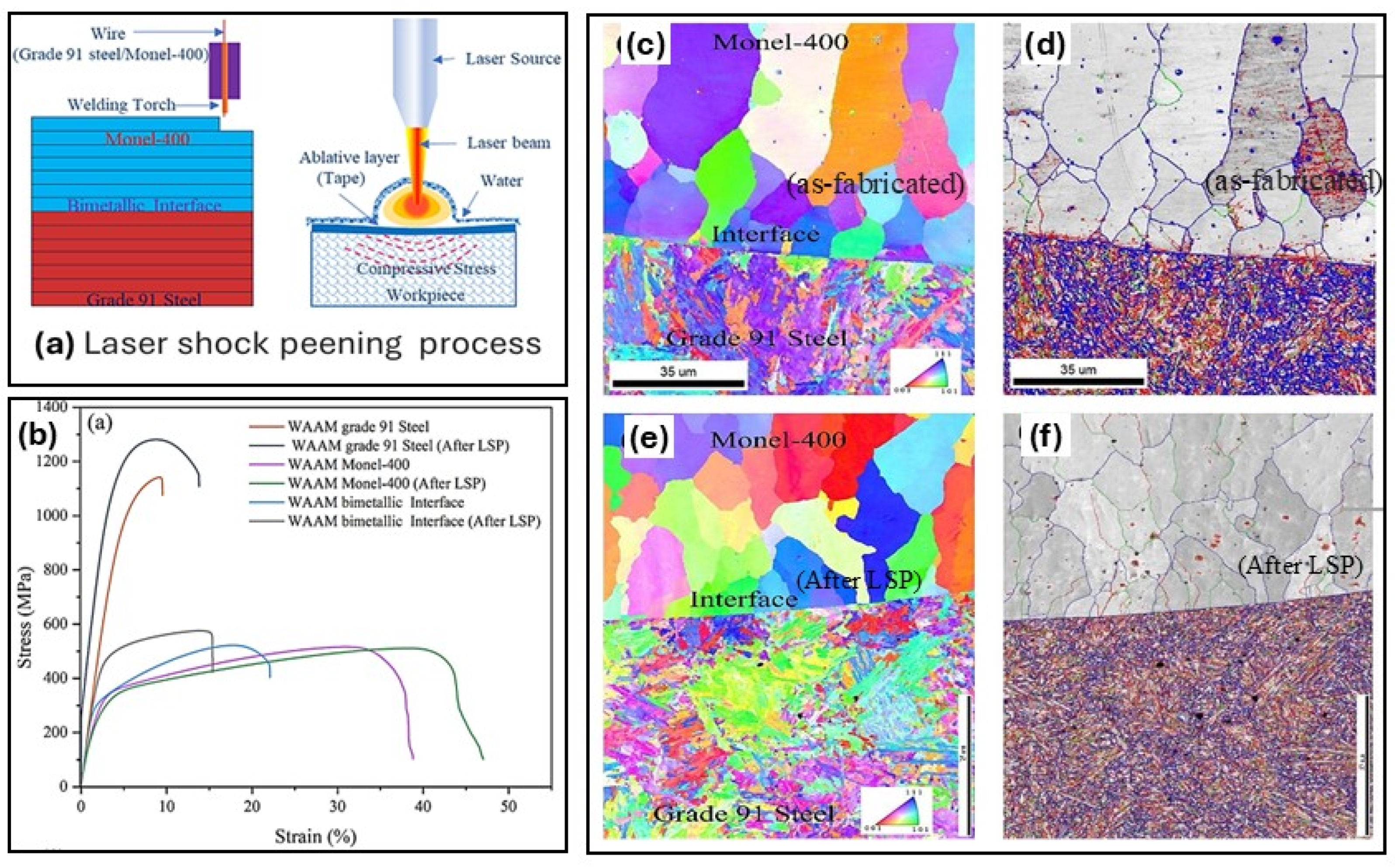 Preprints 166902 g013