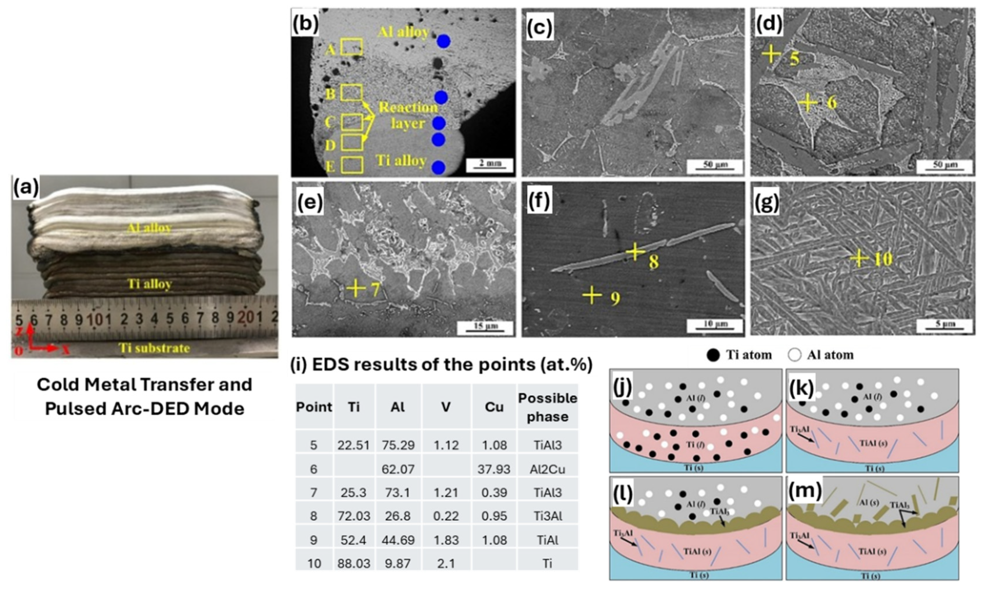 Preprints 166902 g015