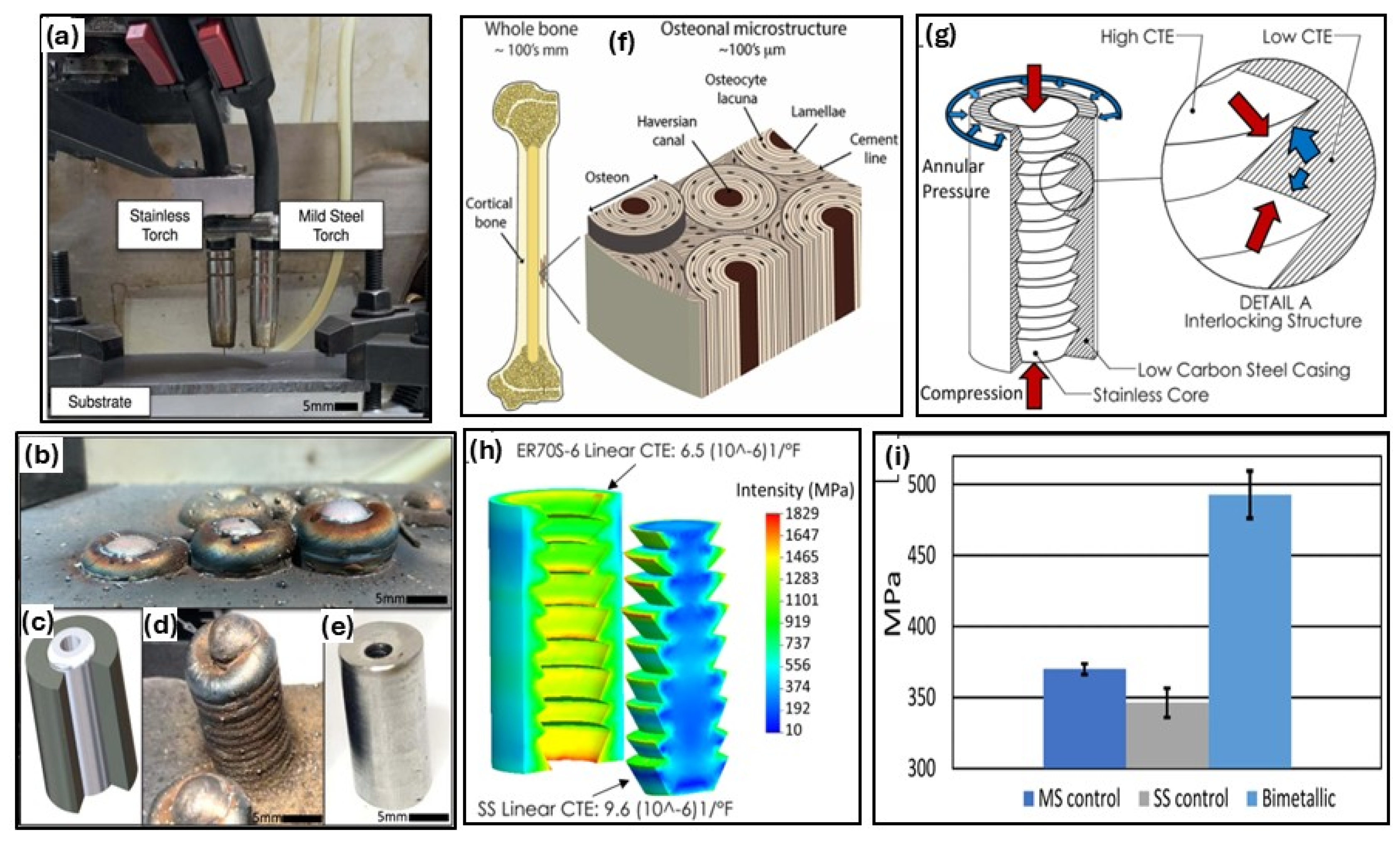 Recent Progress and Scientific Challenges in Wire Arc Additive