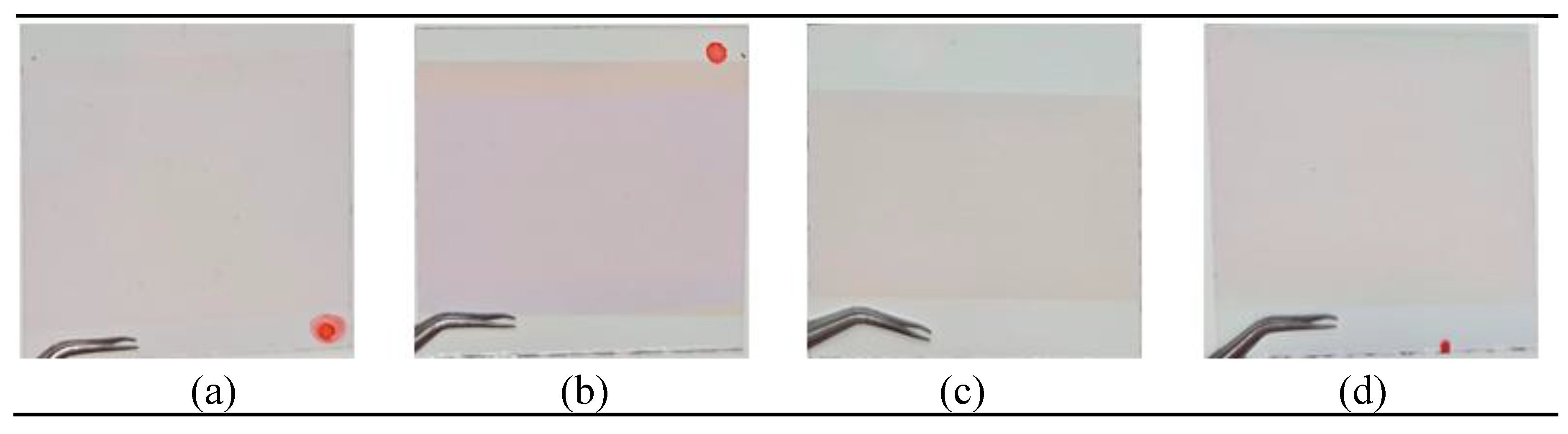 Preprints 196775 g003