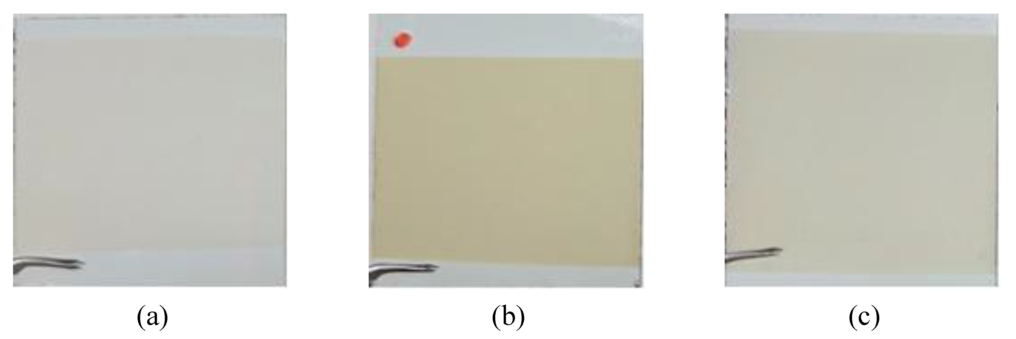 Preprints 196775 g005