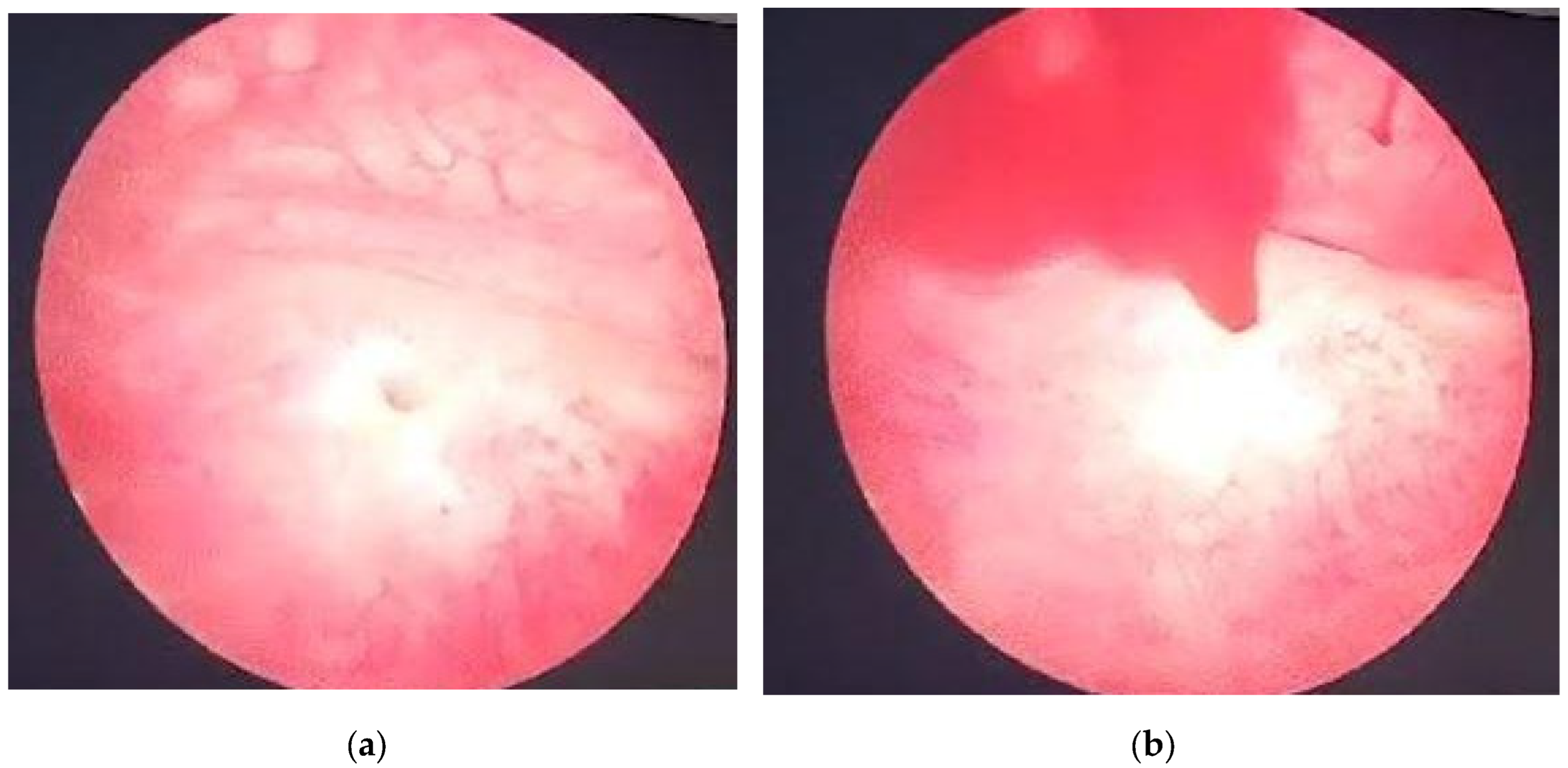 Preprints 183201 g001