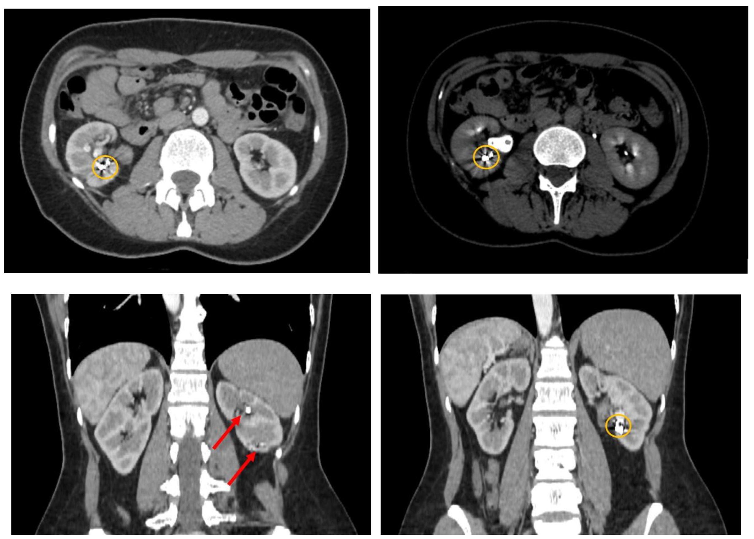 Preprints 183201 g002