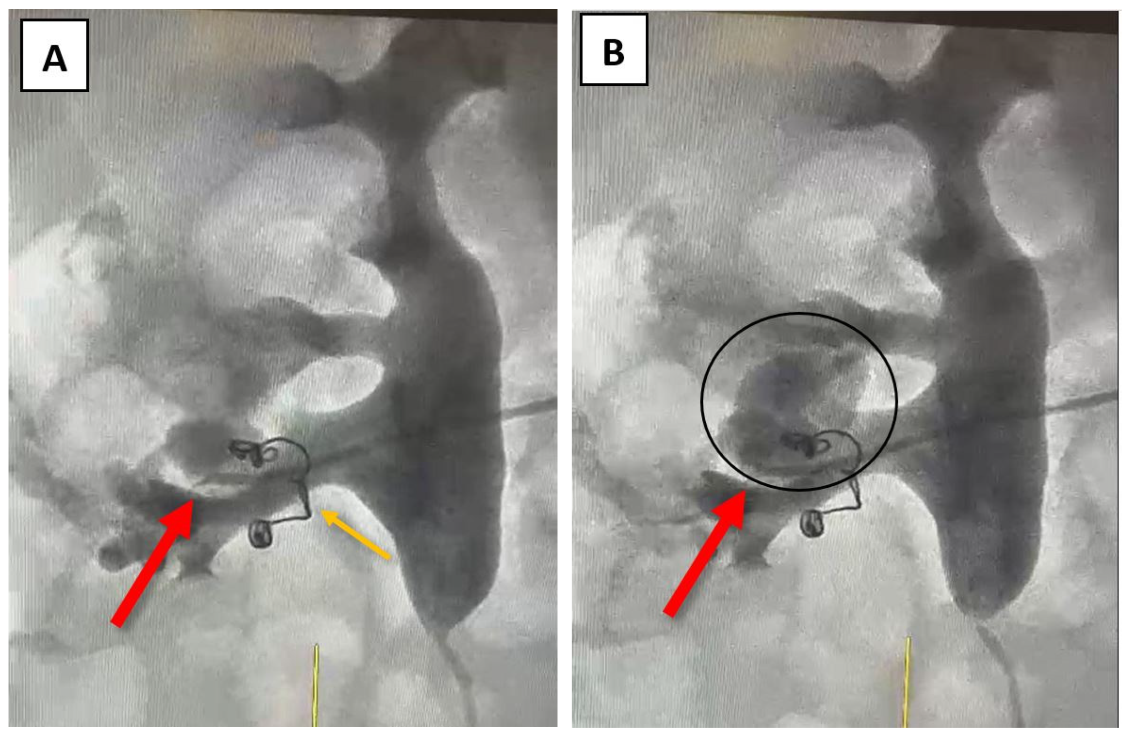 Preprints 183201 g003