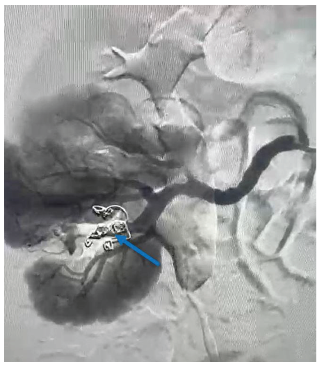 Preprints 183201 g004