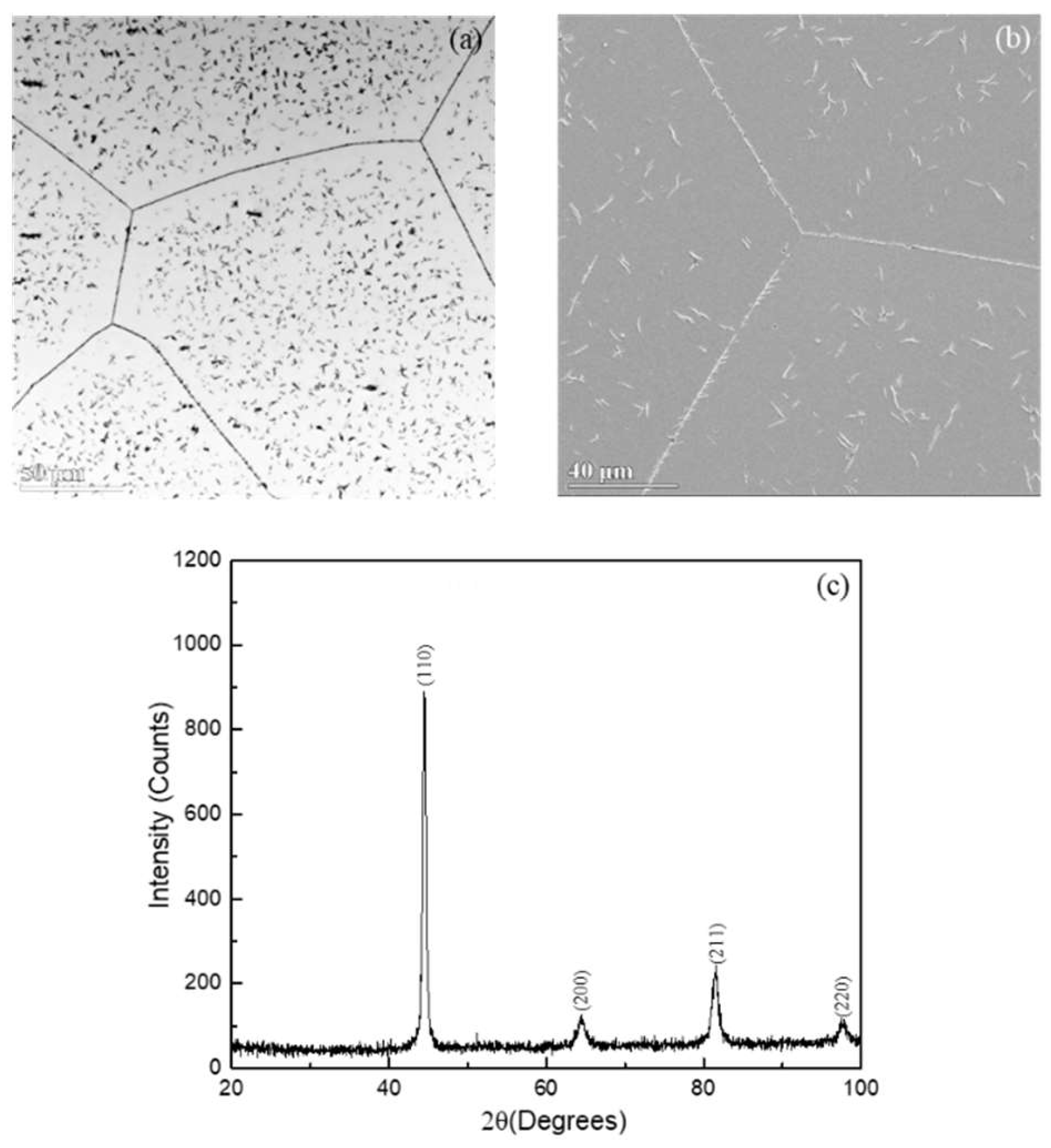 Preprints 146619 g001