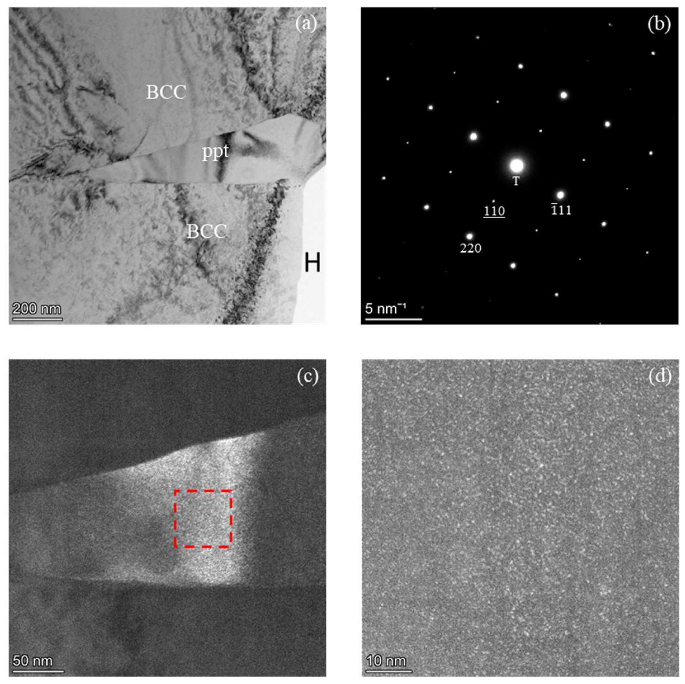 Preprints 146619 g002