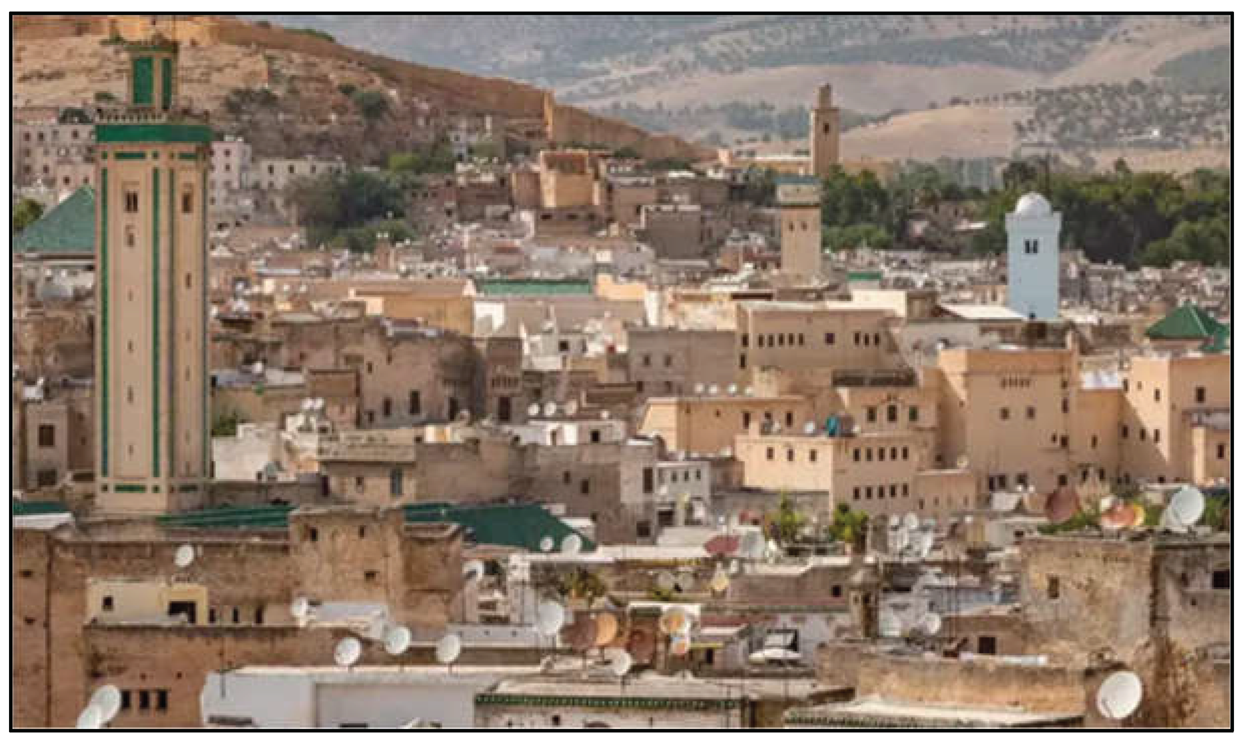 Preprints 199133 g012