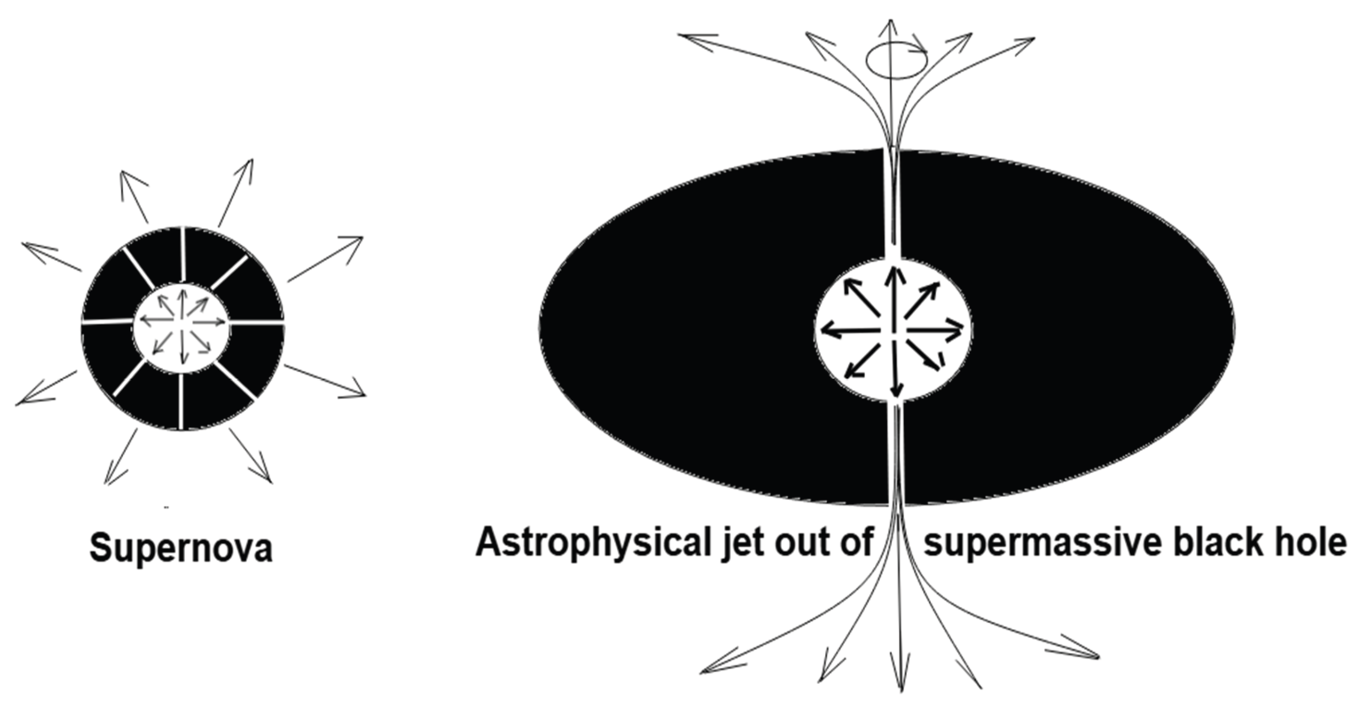 Preprints 194812 g002
