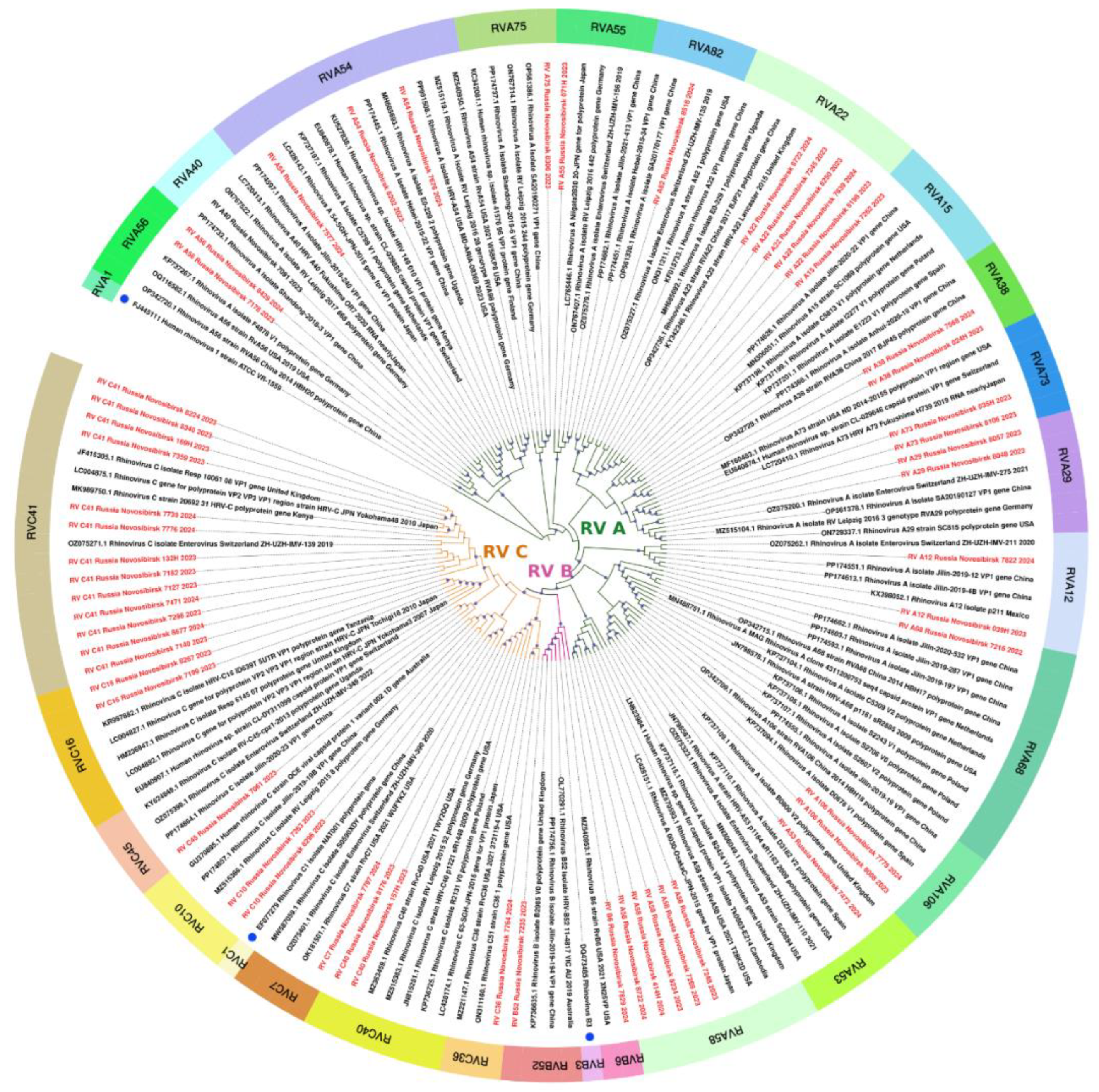 Preprints 138266 g006