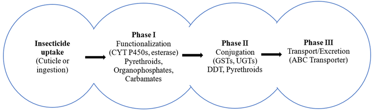 Preprints 177460 i005