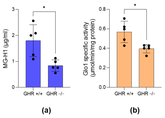 Preprints 223992 g001