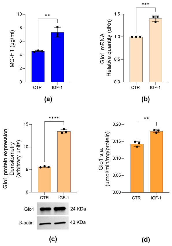 Preprints 223992 g003