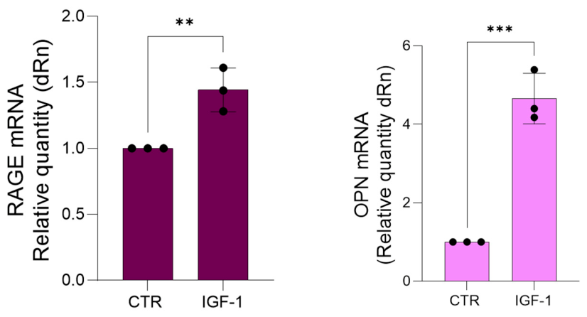 Preprints 223992 g005