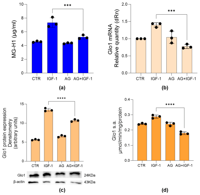 Preprints 223992 g006