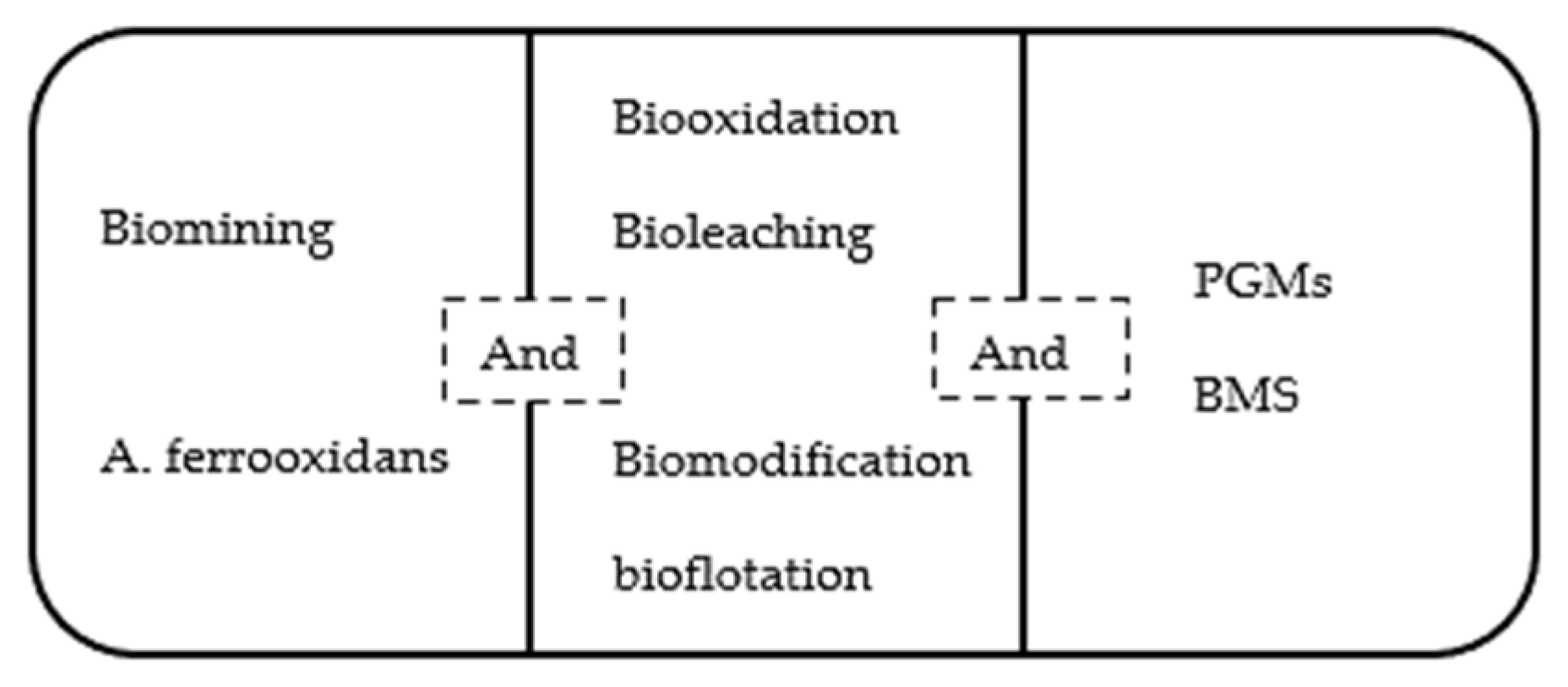 Preprints 84641 g002