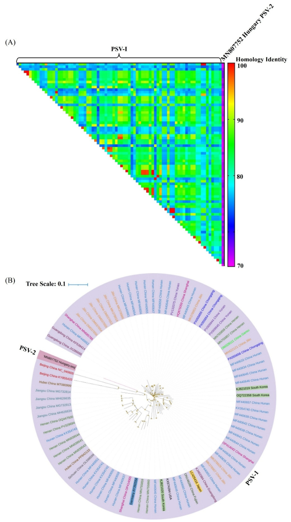 Preprints 215730 g005 Preprints 215730 g005