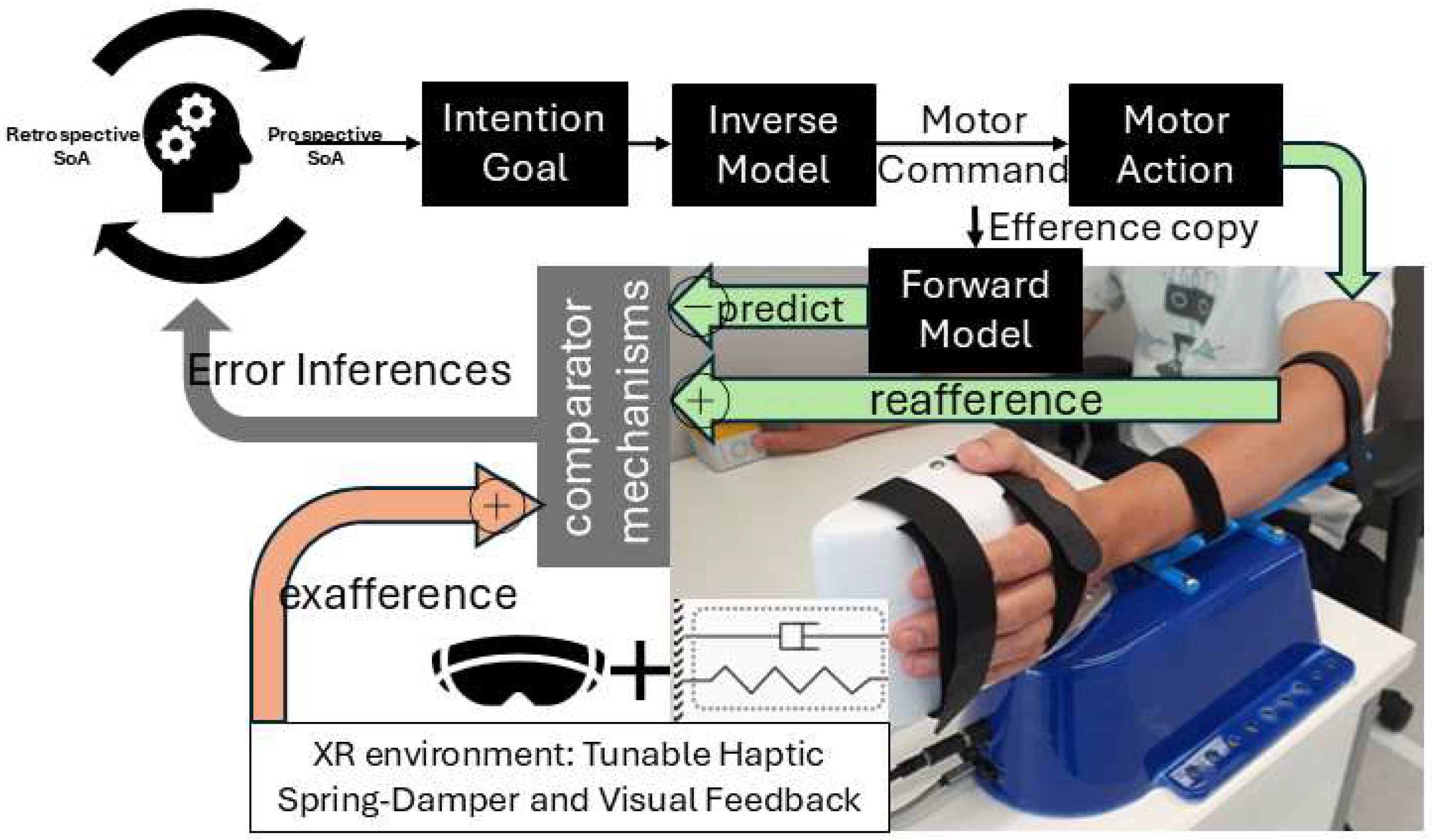Preprints 153768 g001