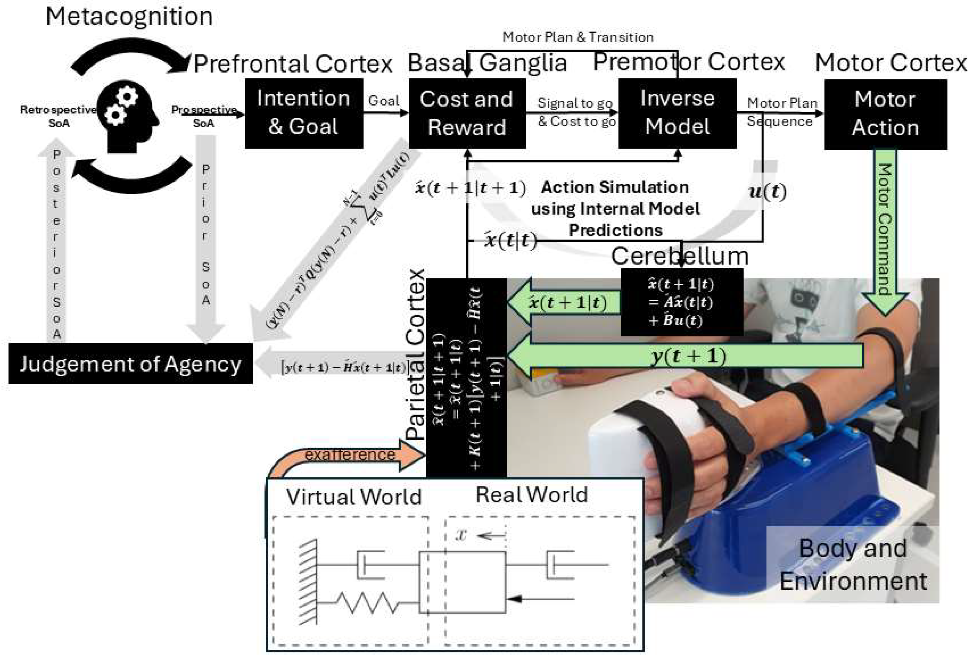 Preprints 153768 g002