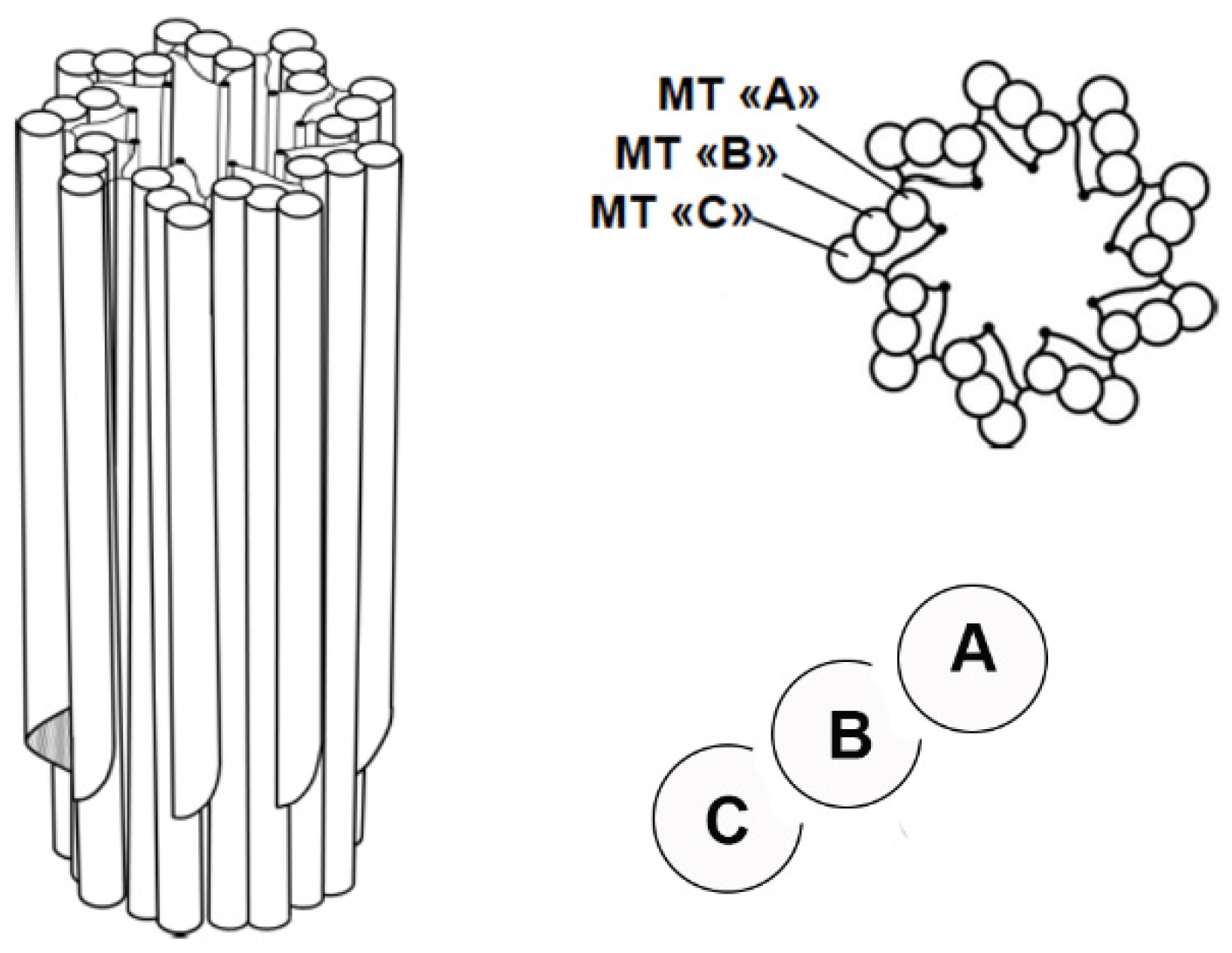 Preprints 157439 g001