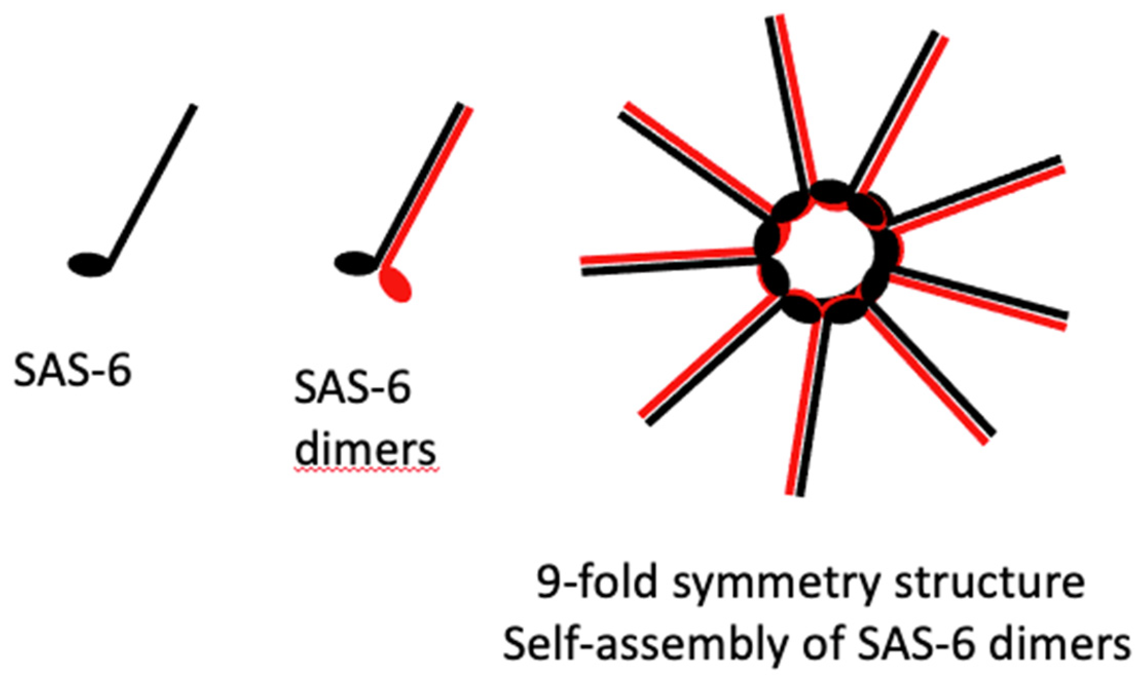 Preprints 157439 g008